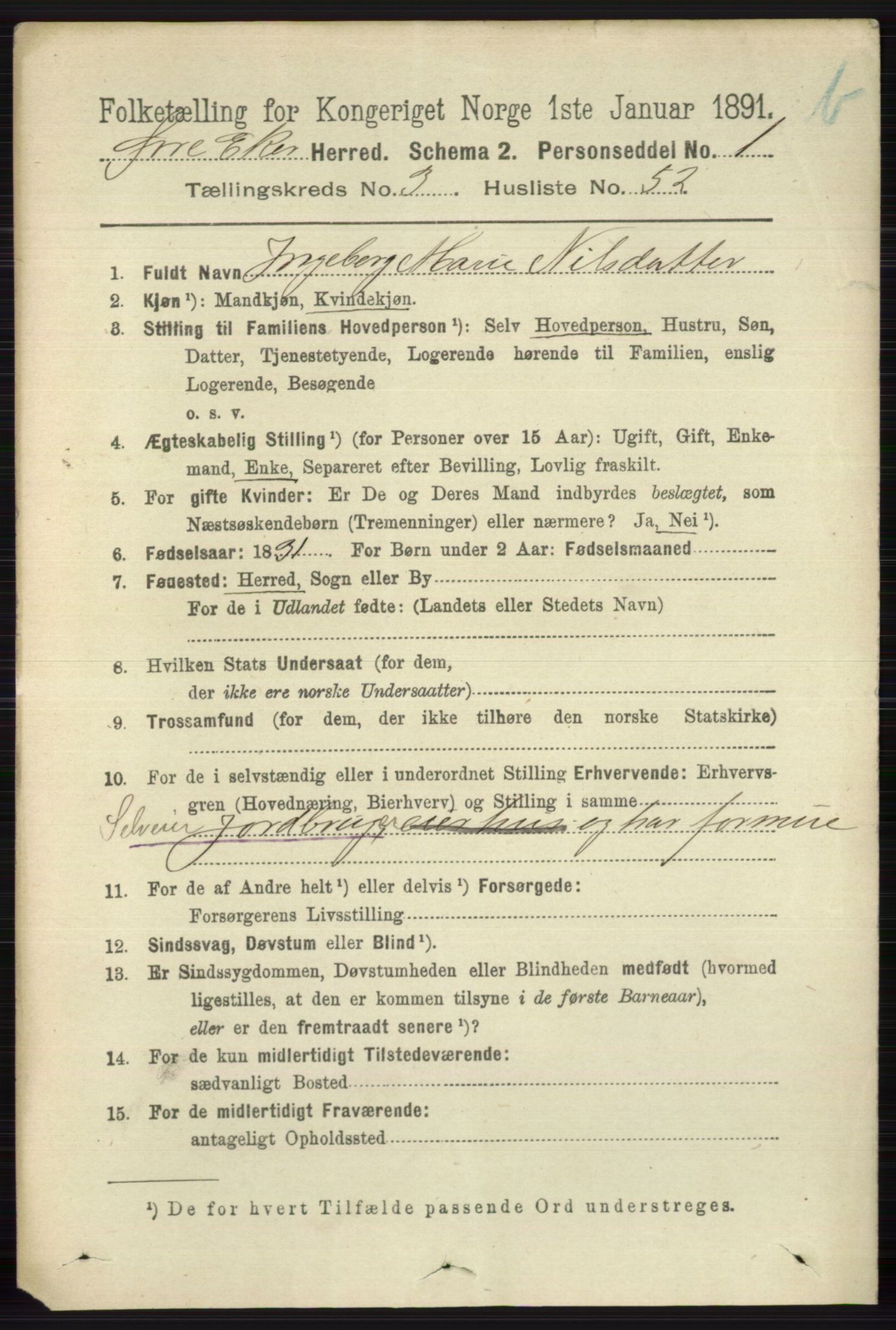 RA, 1891 census for 0624 Øvre Eiker, 1891, p. 9308