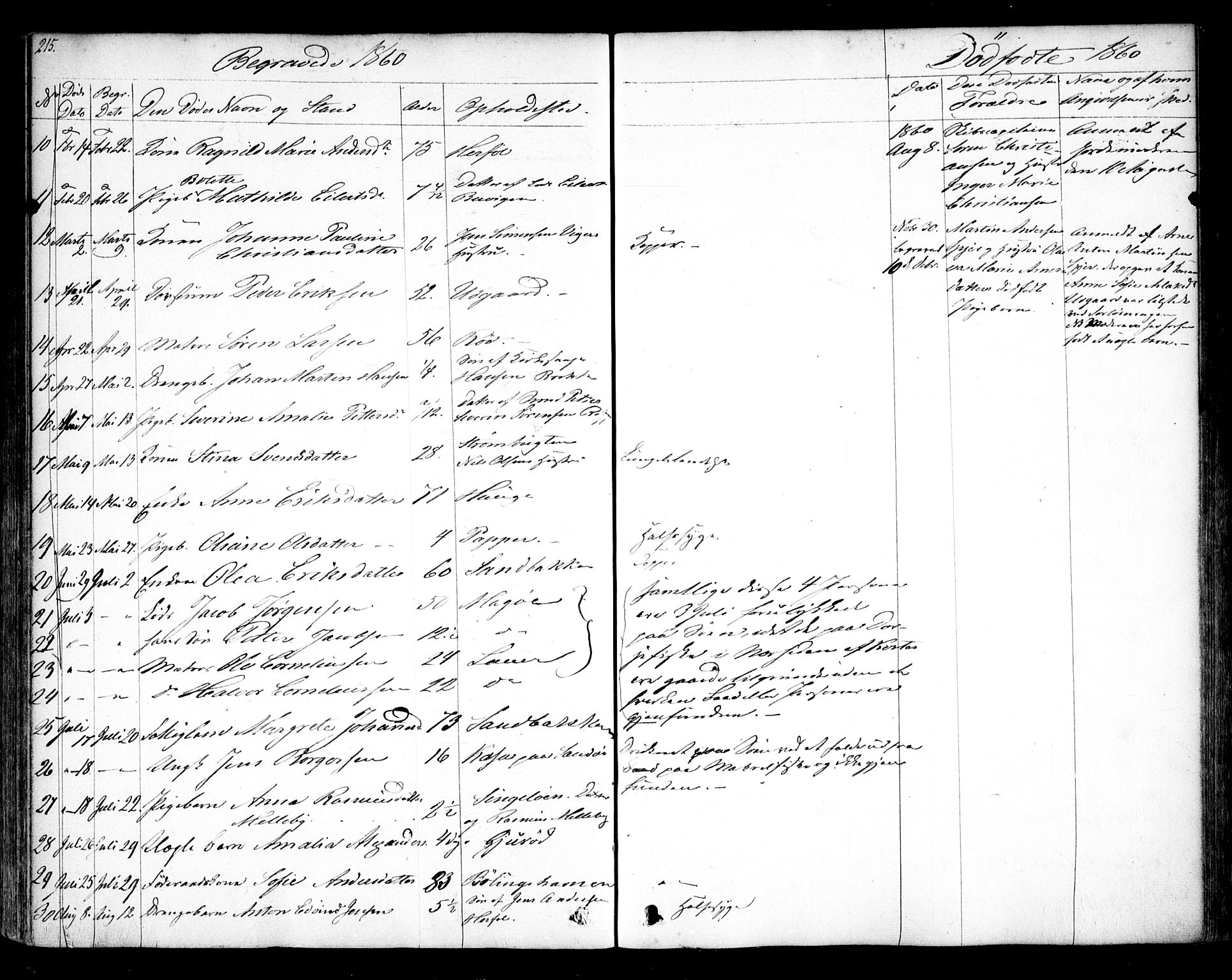 Hvaler prestekontor Kirkebøker, SAO/A-2001/F/Fa/L0006: Parish register (official) no. I 6, 1846-1863, p. 215