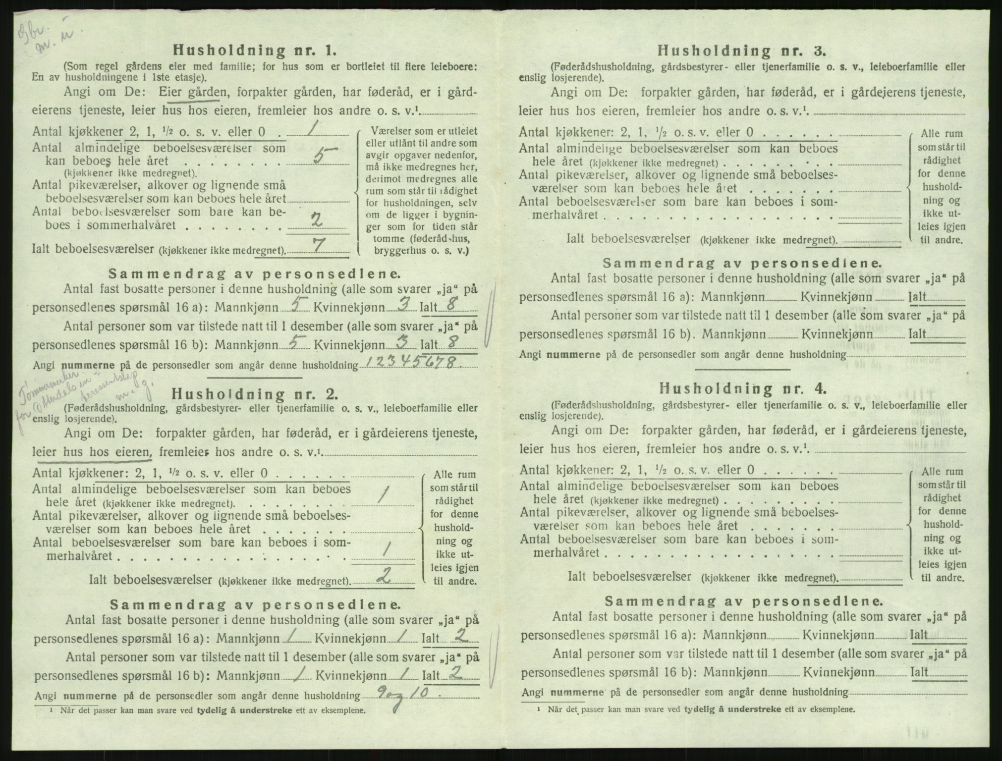 SAK, 1920 census for Hornnes, 1920, p. 370