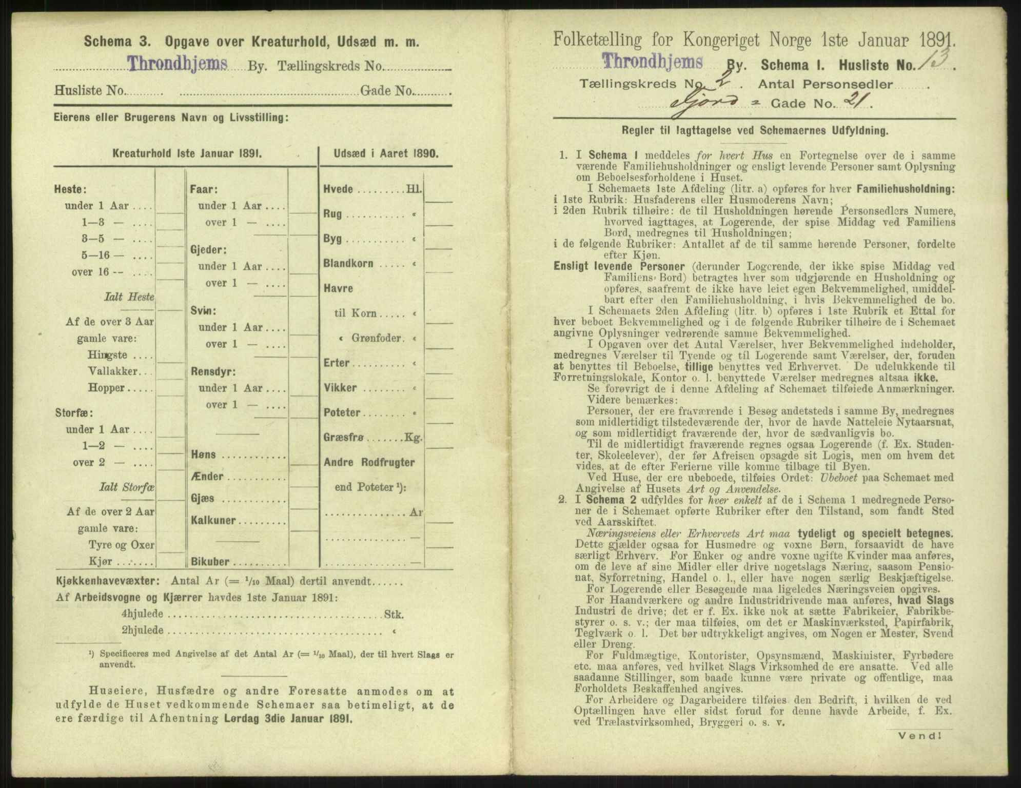 RA, 1891 census for 1601 Trondheim, 1891, p. 260