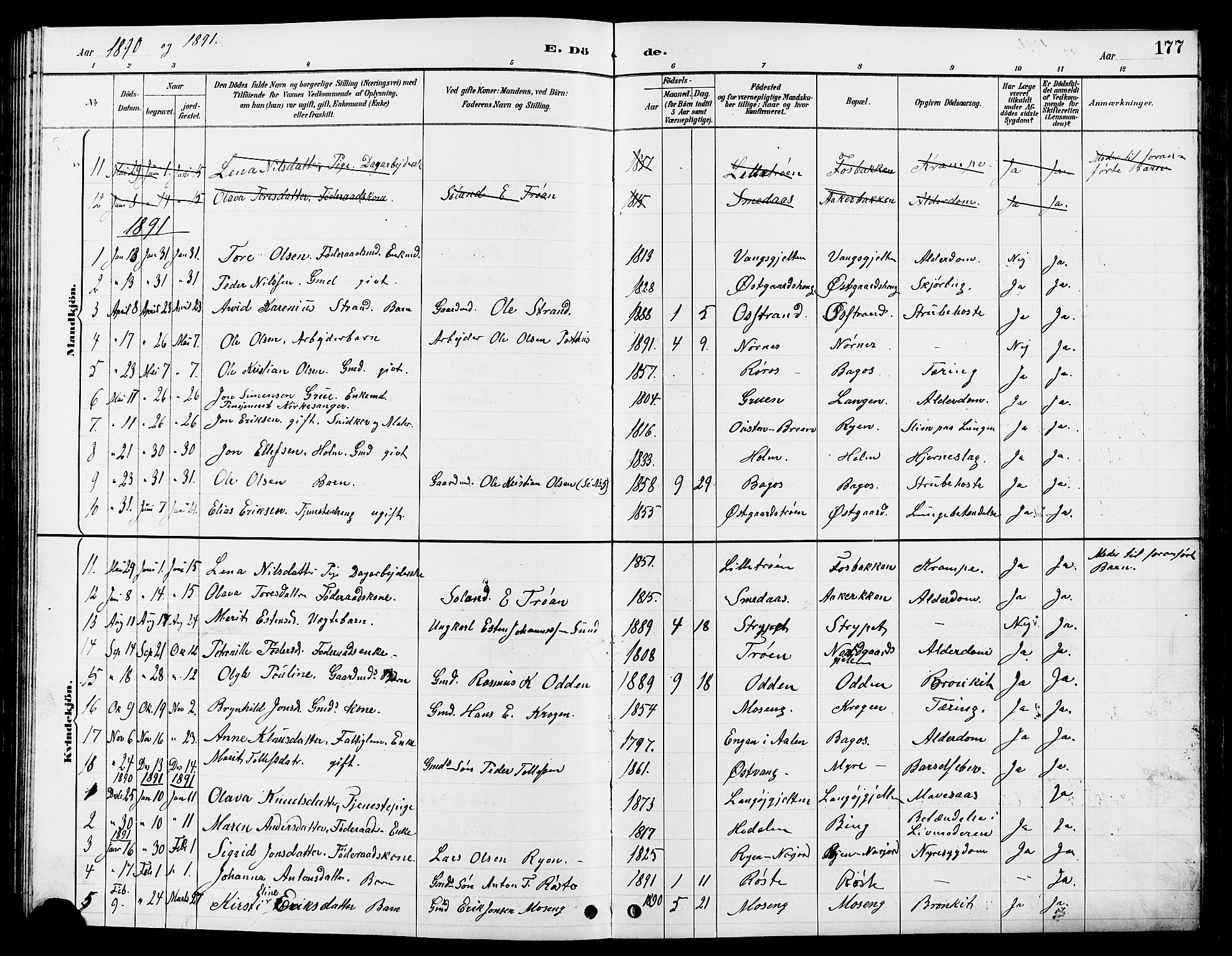 Tolga prestekontor, AV/SAH-PREST-062/L/L0008: Parish register (copy) no. 8, 1887-1912, p. 177