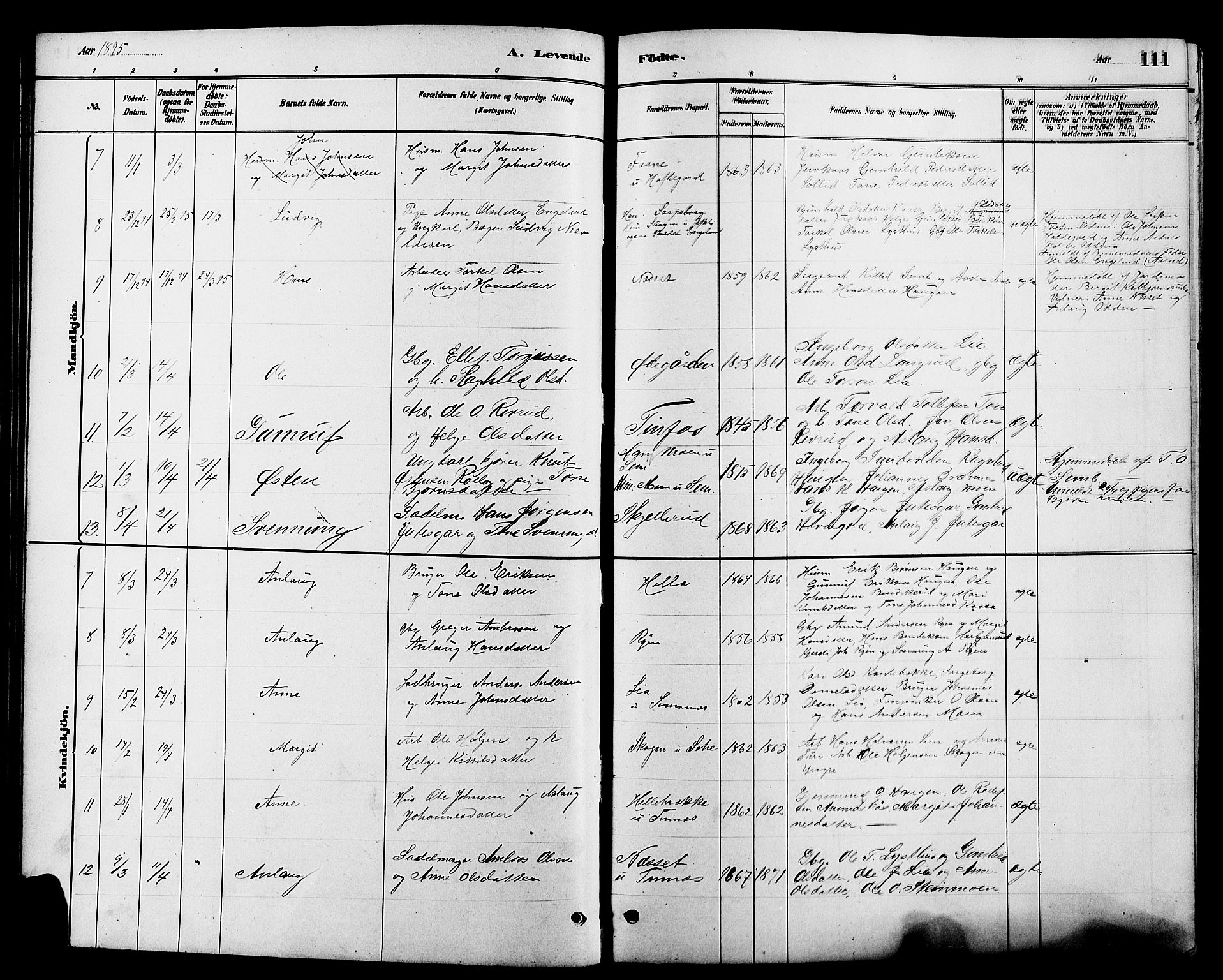 Heddal kirkebøker, AV/SAKO-A-268/G/Ga/L0002: Parish register (copy) no. I 2, 1879-1908, p. 111