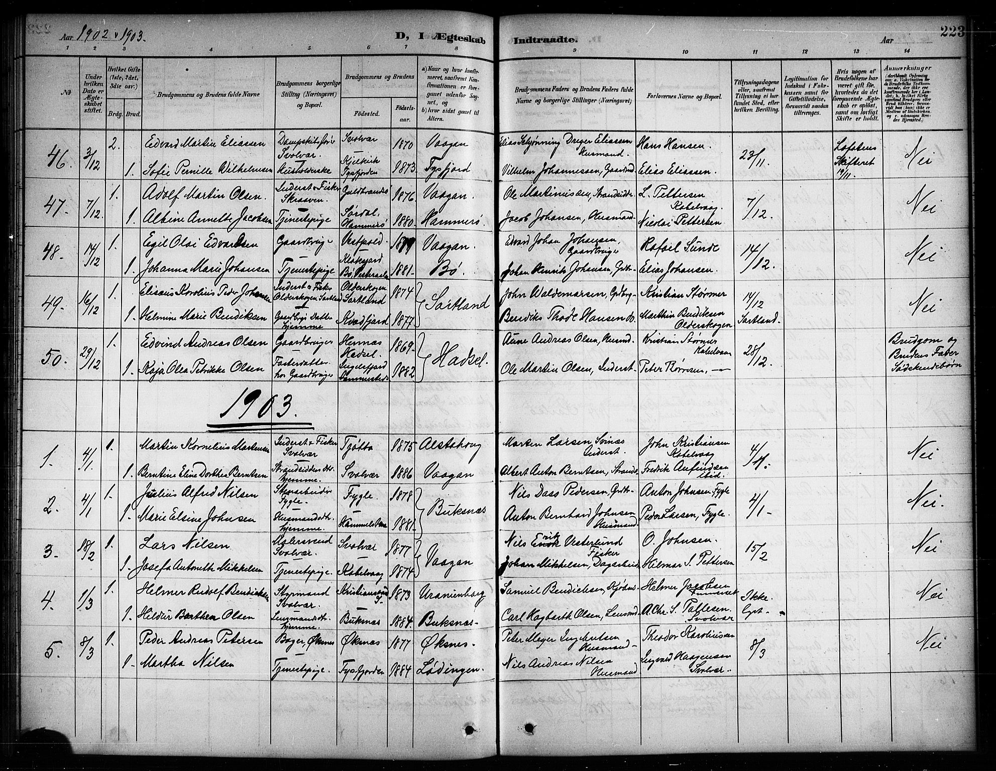 Ministerialprotokoller, klokkerbøker og fødselsregistre - Nordland, AV/SAT-A-1459/874/L1078: Parish register (copy) no. 874C07, 1900-1907, p. 223