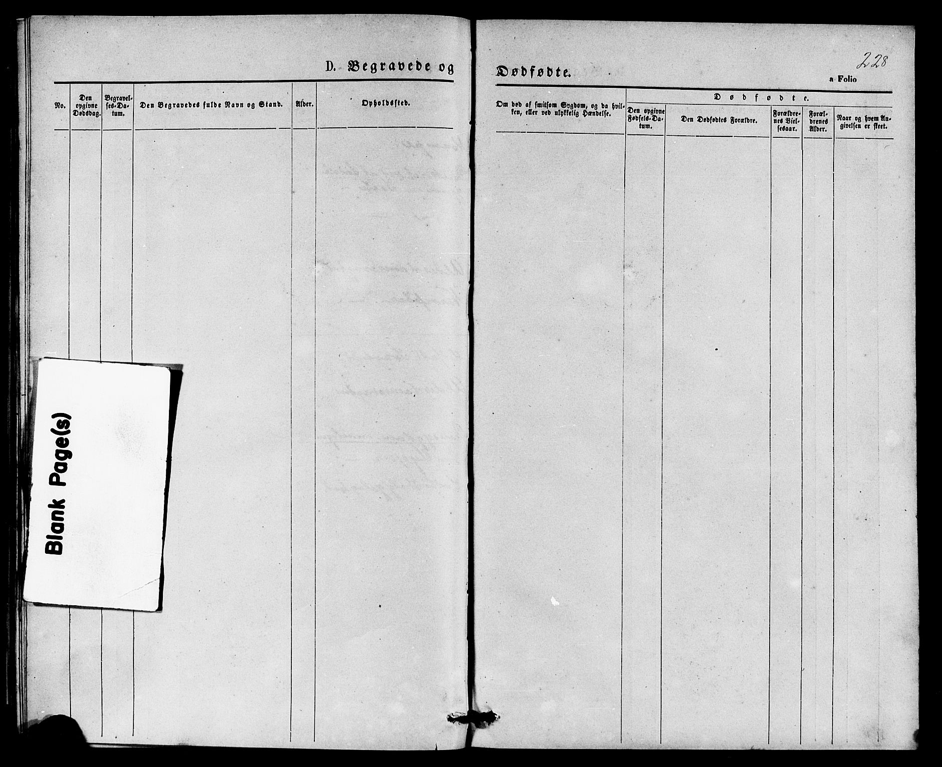 Klepp sokneprestkontor, AV/SAST-A-101803/001/3/30BB/L0003: Parish register (copy) no. B 3, 1876-1888, p. 228