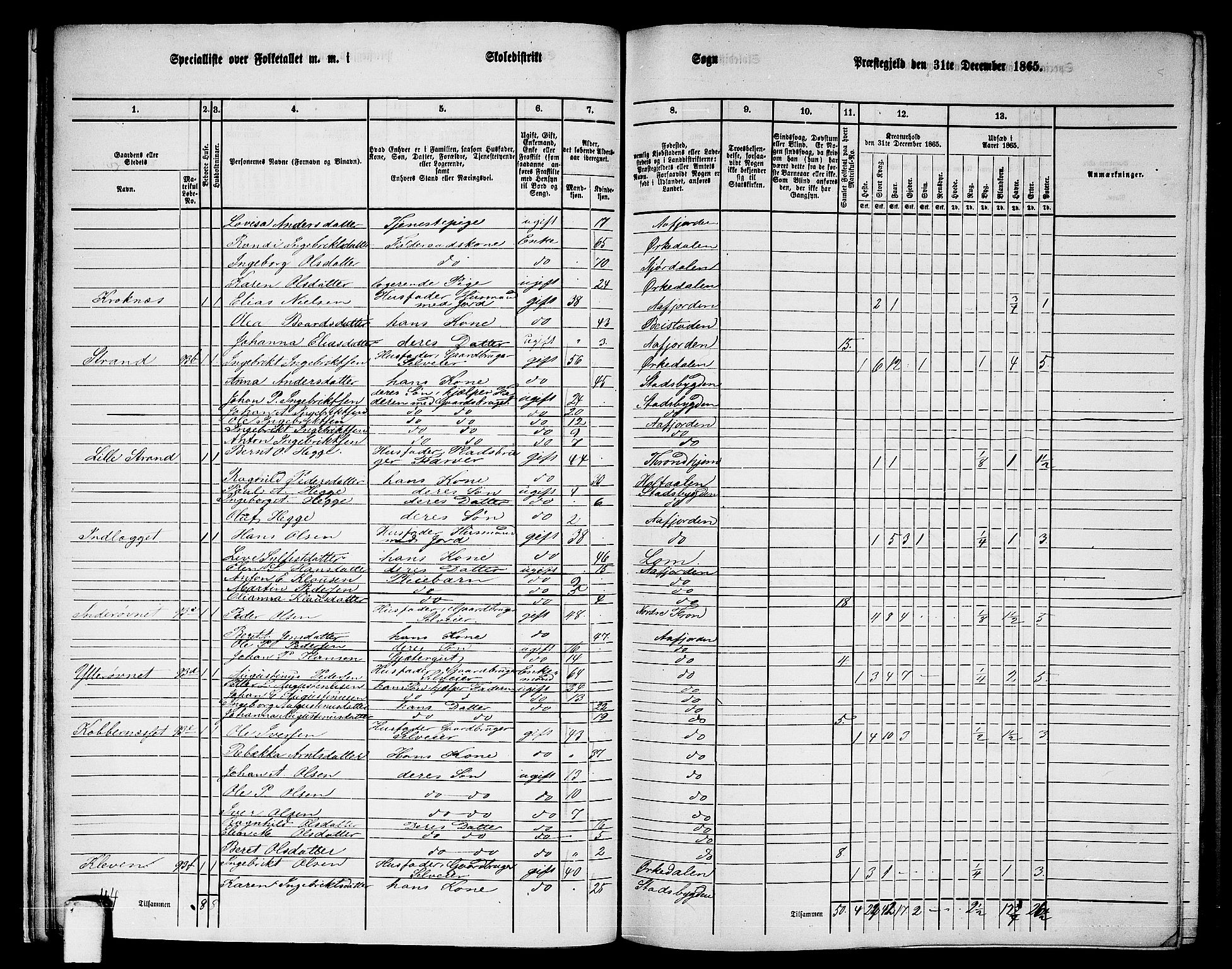 RA, 1865 census for Aafjorden, 1865, p. 20