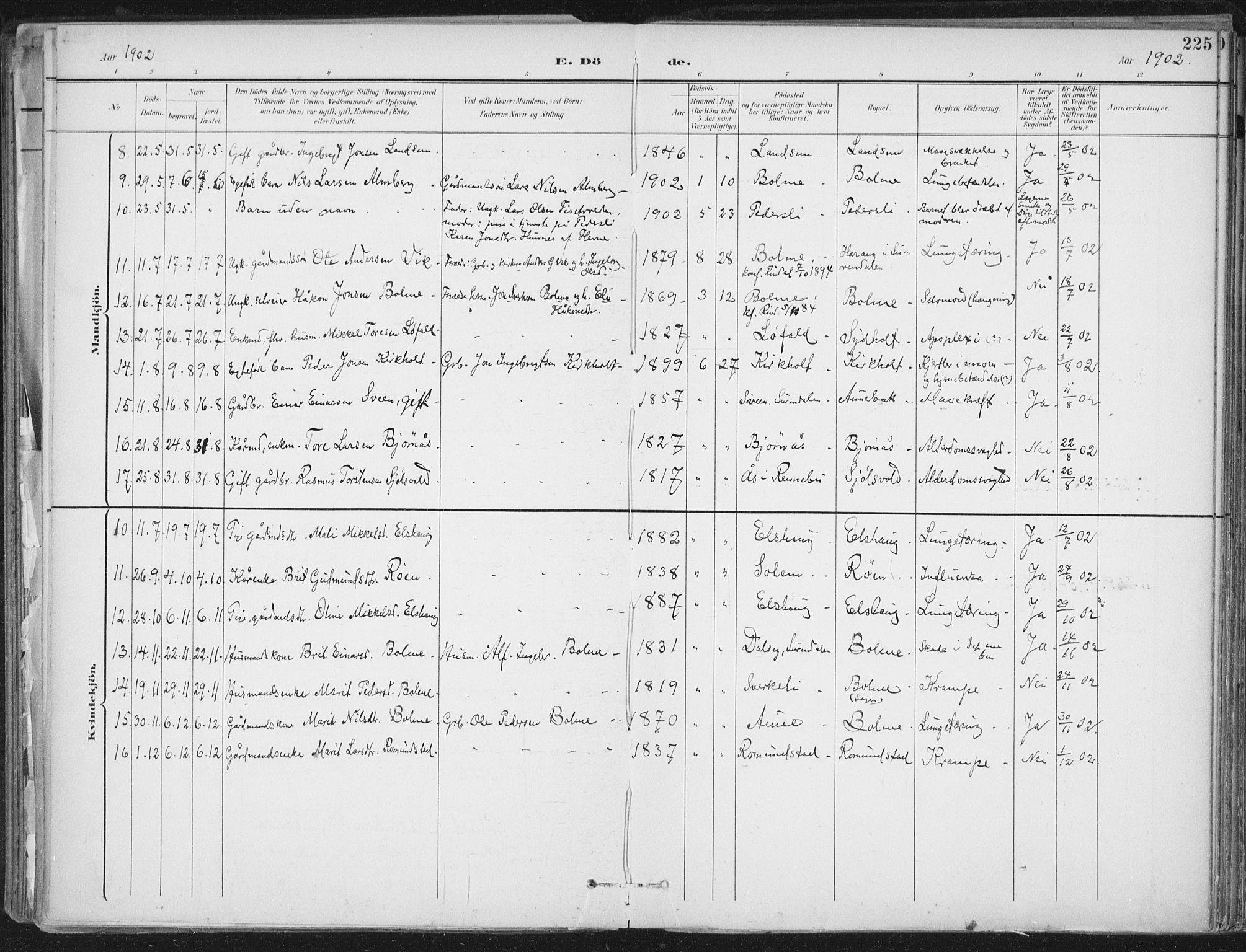 Ministerialprotokoller, klokkerbøker og fødselsregistre - Møre og Romsdal, AV/SAT-A-1454/598/L1072: Parish register (official) no. 598A06, 1896-1910, p. 225