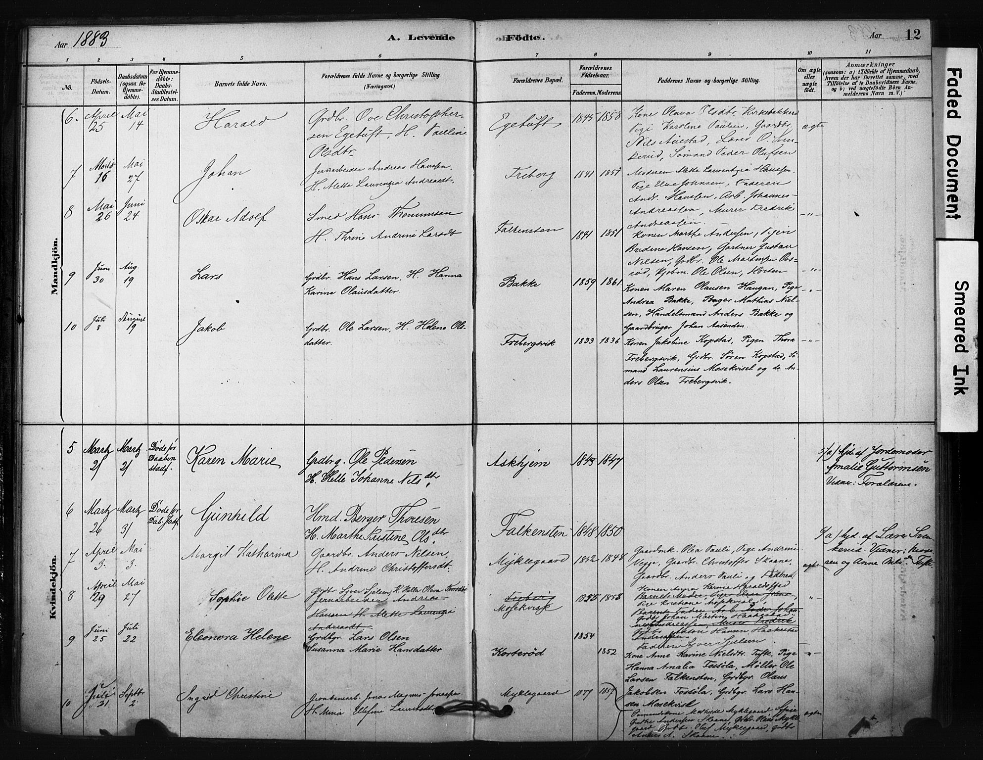 Borre kirkebøker, SAKO/A-338/F/Fc/L0001: Parish register (official) no. III 1, 1878-1896, p. 12