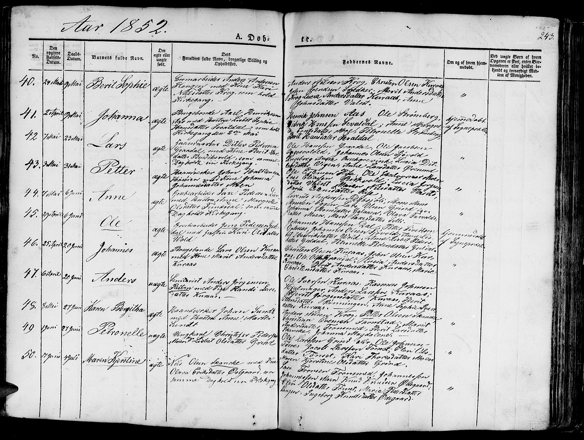 Ministerialprotokoller, klokkerbøker og fødselsregistre - Sør-Trøndelag, AV/SAT-A-1456/681/L0938: Parish register (copy) no. 681C02, 1829-1879, p. 243