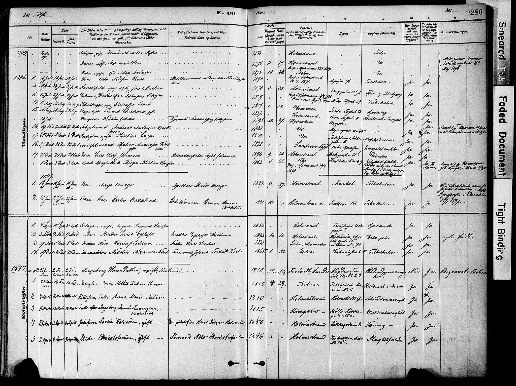 Holmestrand kirkebøker, SAKO/A-346/F/Fa/L0004: Parish register (official) no. 4, 1880-1901, p. 286