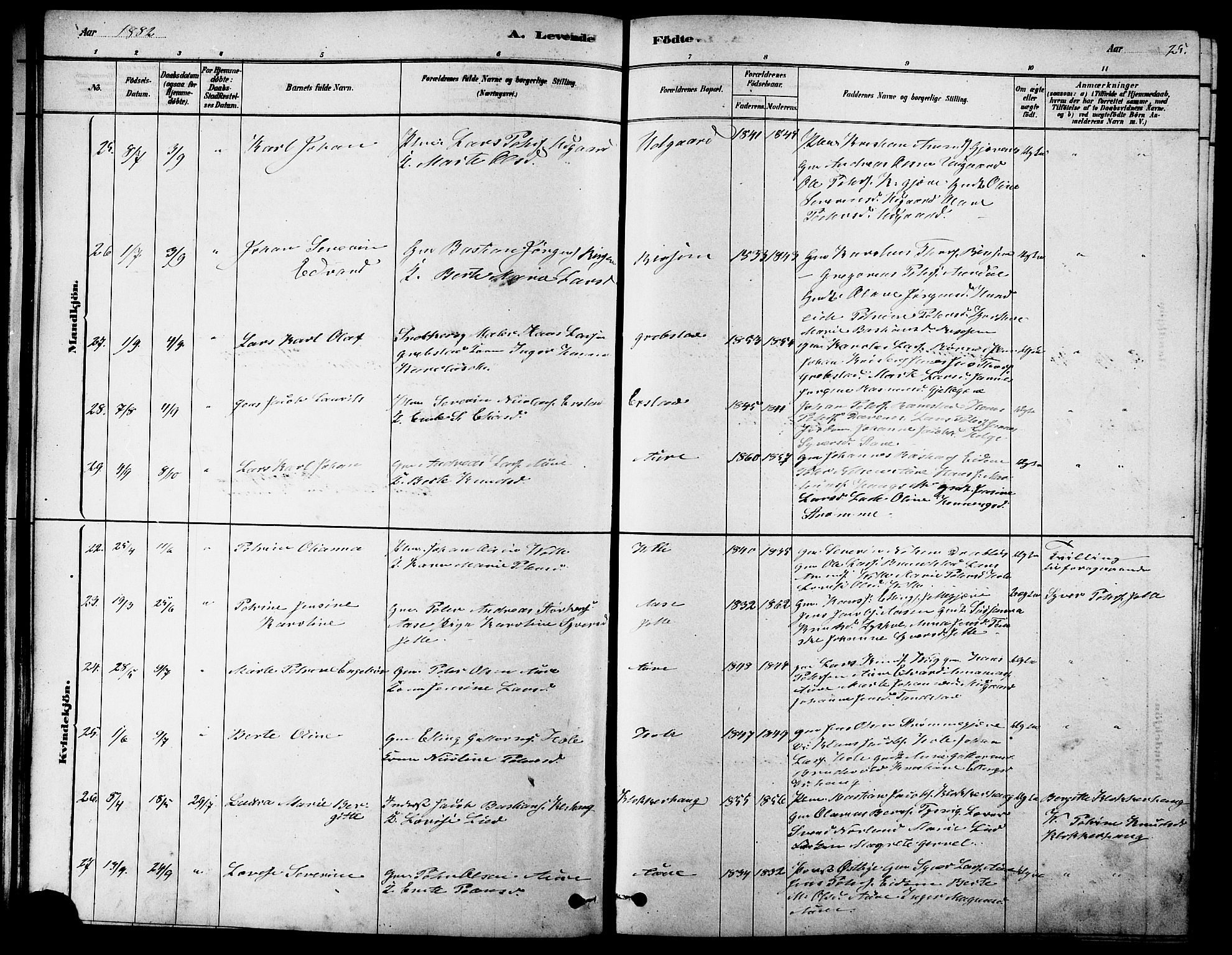 Ministerialprotokoller, klokkerbøker og fødselsregistre - Møre og Romsdal, AV/SAT-A-1454/523/L0339: Parish register (copy) no. 523C02, 1878-1891, p. 25