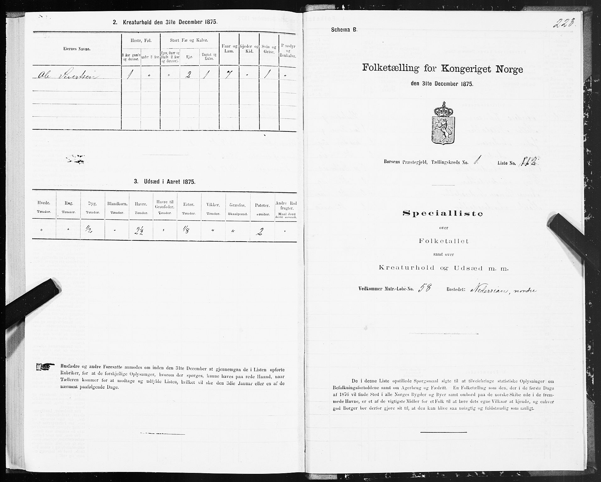 SAT, 1875 census for 1658P Børsa, 1875, p. 1223