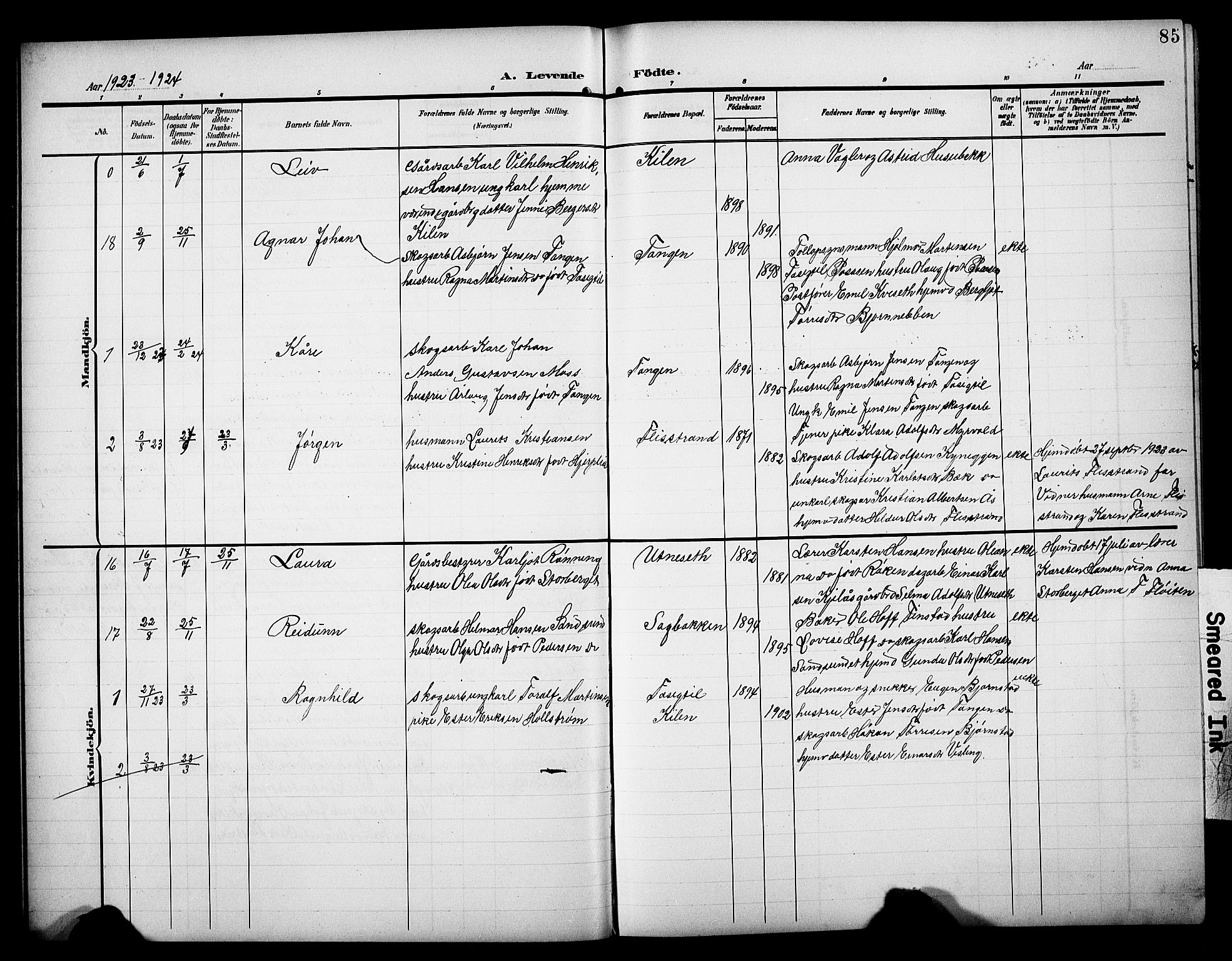 Åsnes prestekontor, SAH/PREST-042/H/Ha/Hab/L0006: Parish register (copy) no. 6, 1903-1929, p. 85