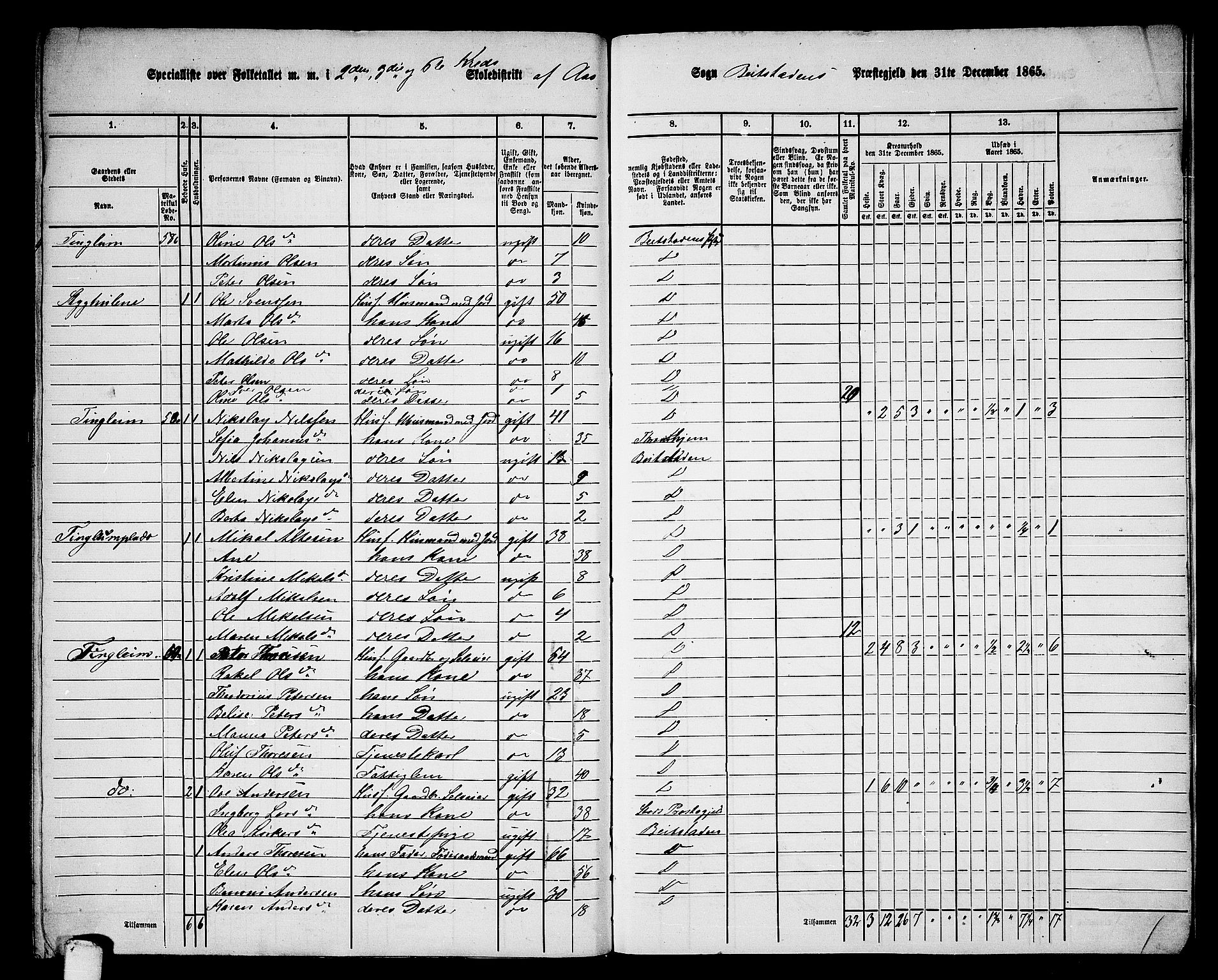 RA, 1865 census for Beitstad, 1865, p. 199