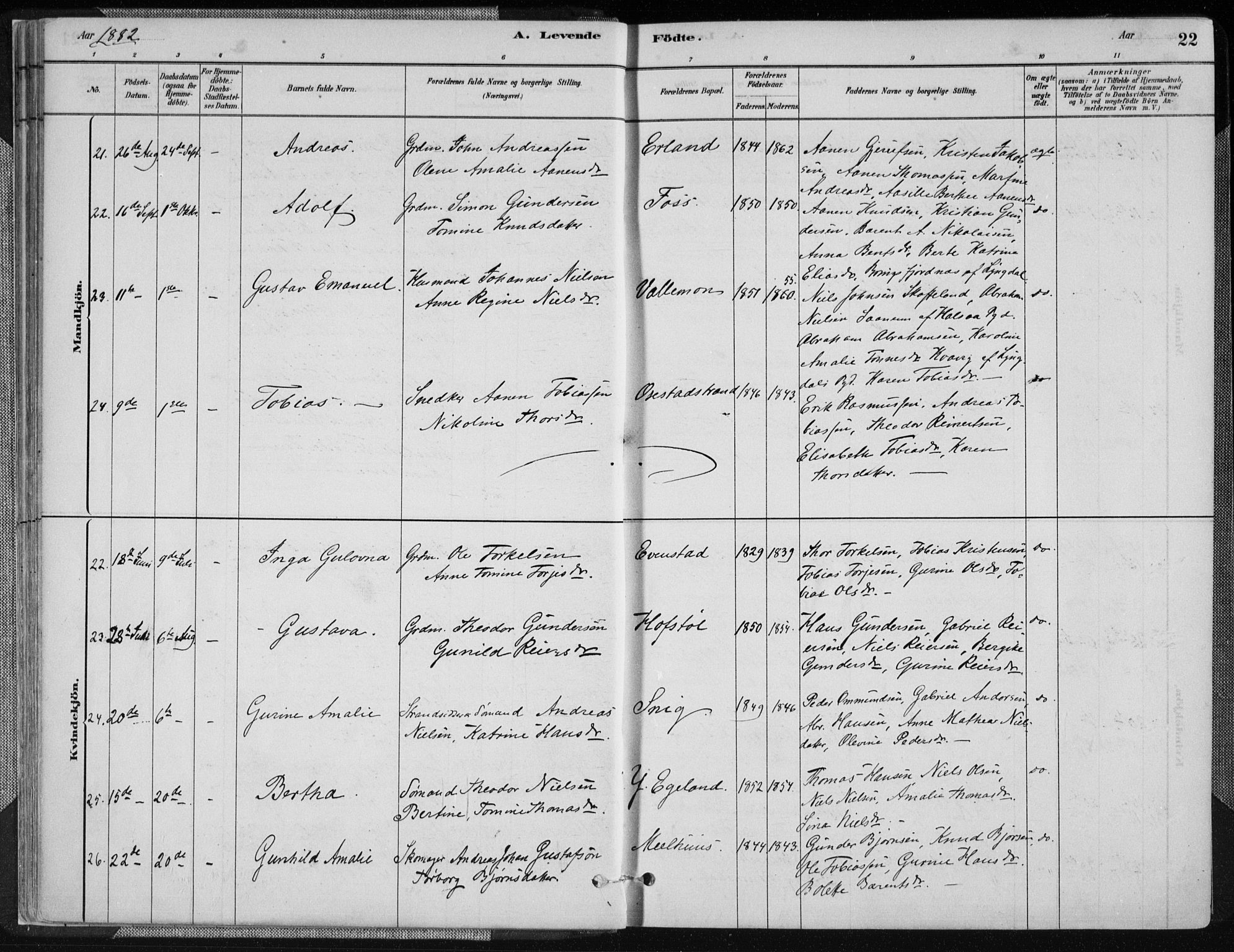 Sør-Audnedal sokneprestkontor, AV/SAK-1111-0039/F/Fa/Fab/L0009: Parish register (official) no. A 9, 1880-1895, p. 22