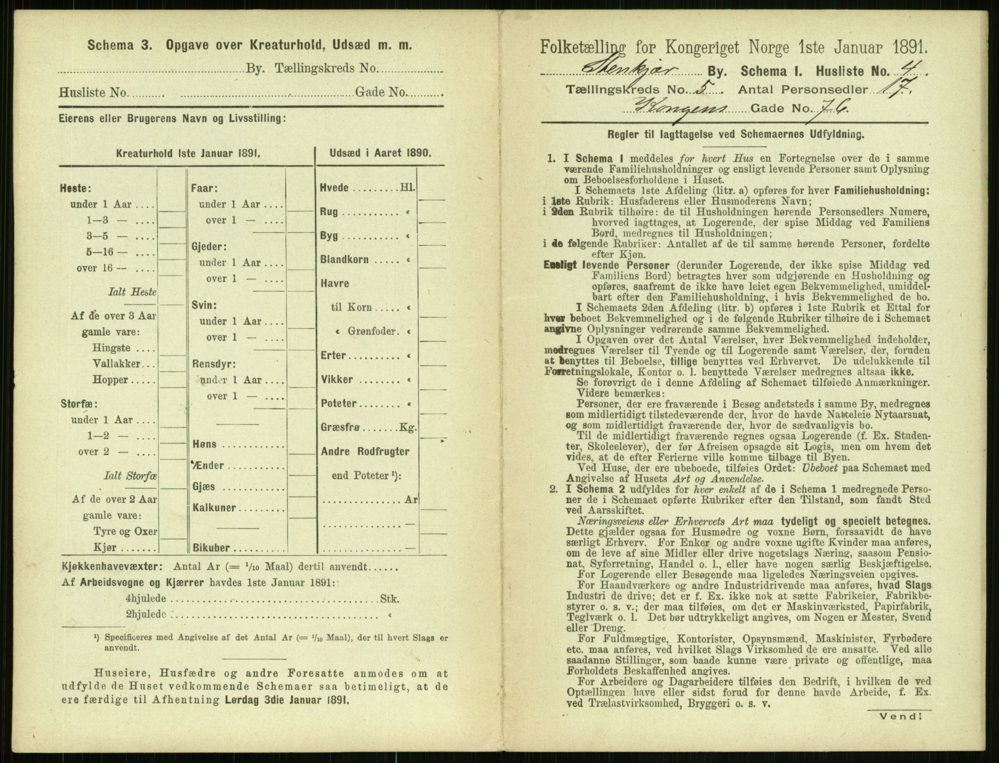 RA, 1891 census for 1702 Steinkjer, 1891, p. 1725