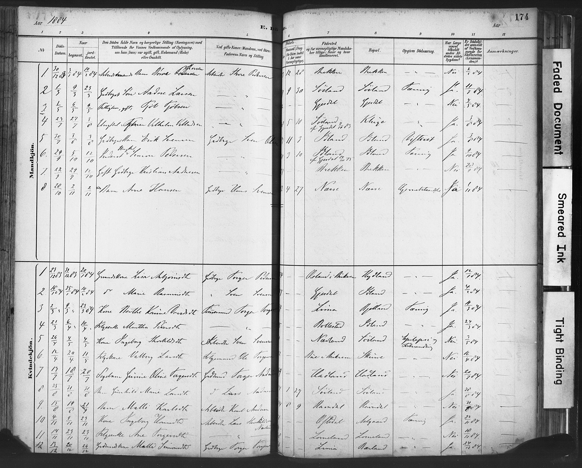 Lye sokneprestkontor, SAST/A-101794/001/30BA/L0010: Parish register (official) no. A 10, 1881-1896, p. 174