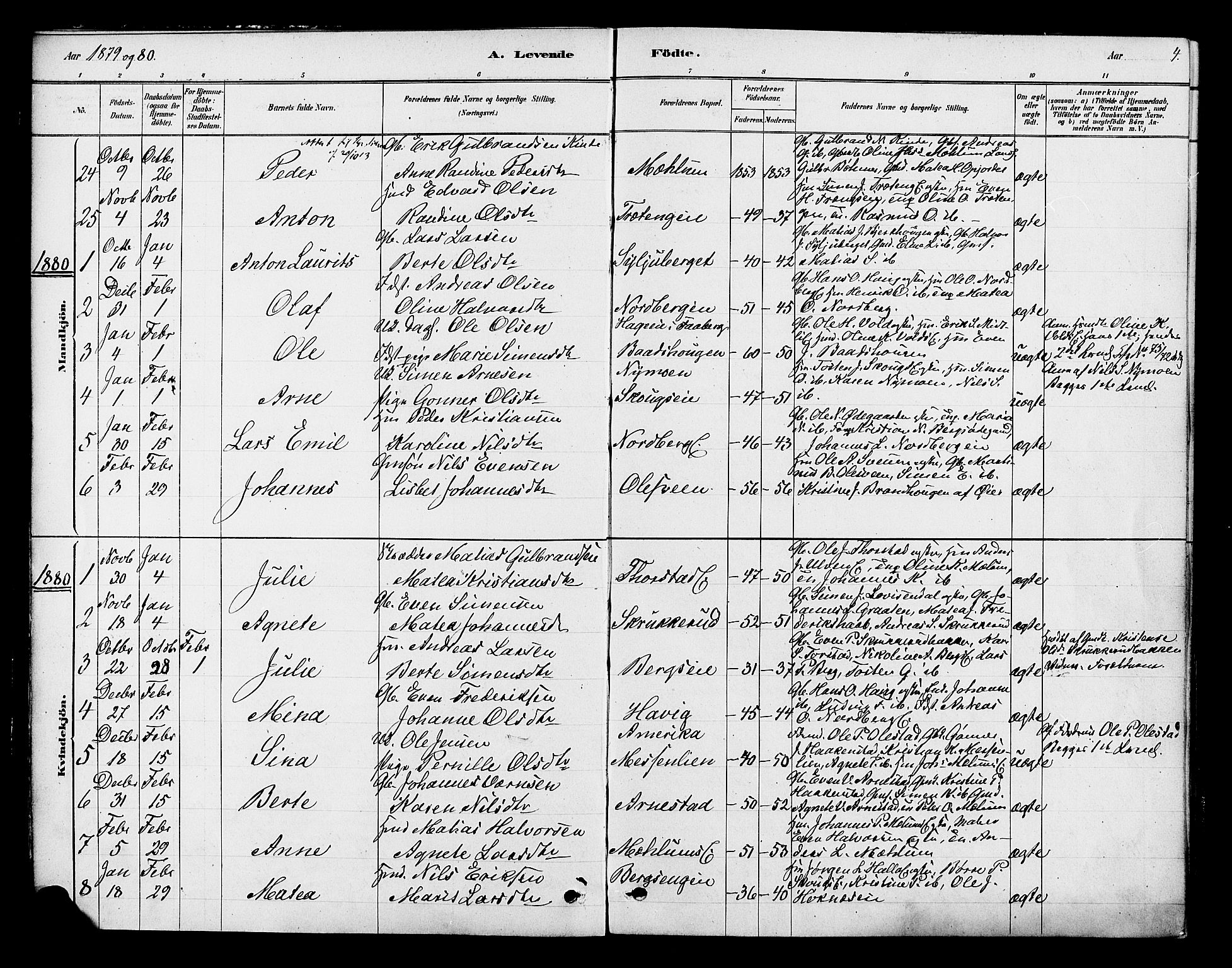 Ringsaker prestekontor, AV/SAH-PREST-014/K/Ka/L0013: Parish register (official) no. 13, 1879-1890, p. 4