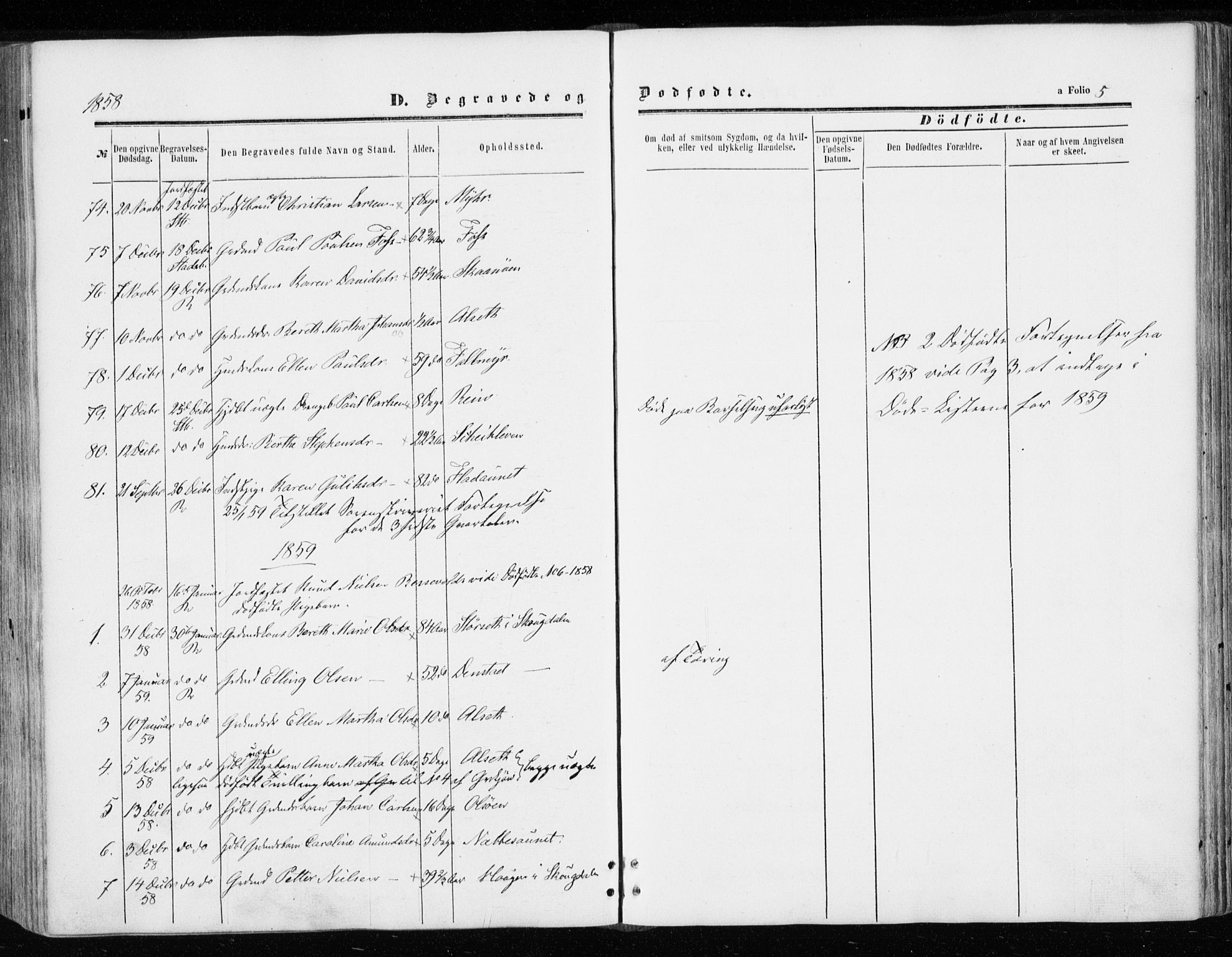 Ministerialprotokoller, klokkerbøker og fødselsregistre - Sør-Trøndelag, SAT/A-1456/646/L0612: Parish register (official) no. 646A10, 1858-1869, p. 5