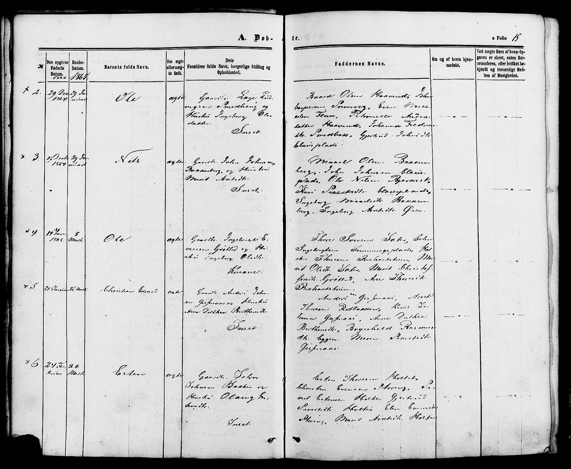 Kvikne prestekontor, SAH/PREST-064/H/Ha/Haa/L0006: Parish register (official) no. 6, 1863-1886, p. 15