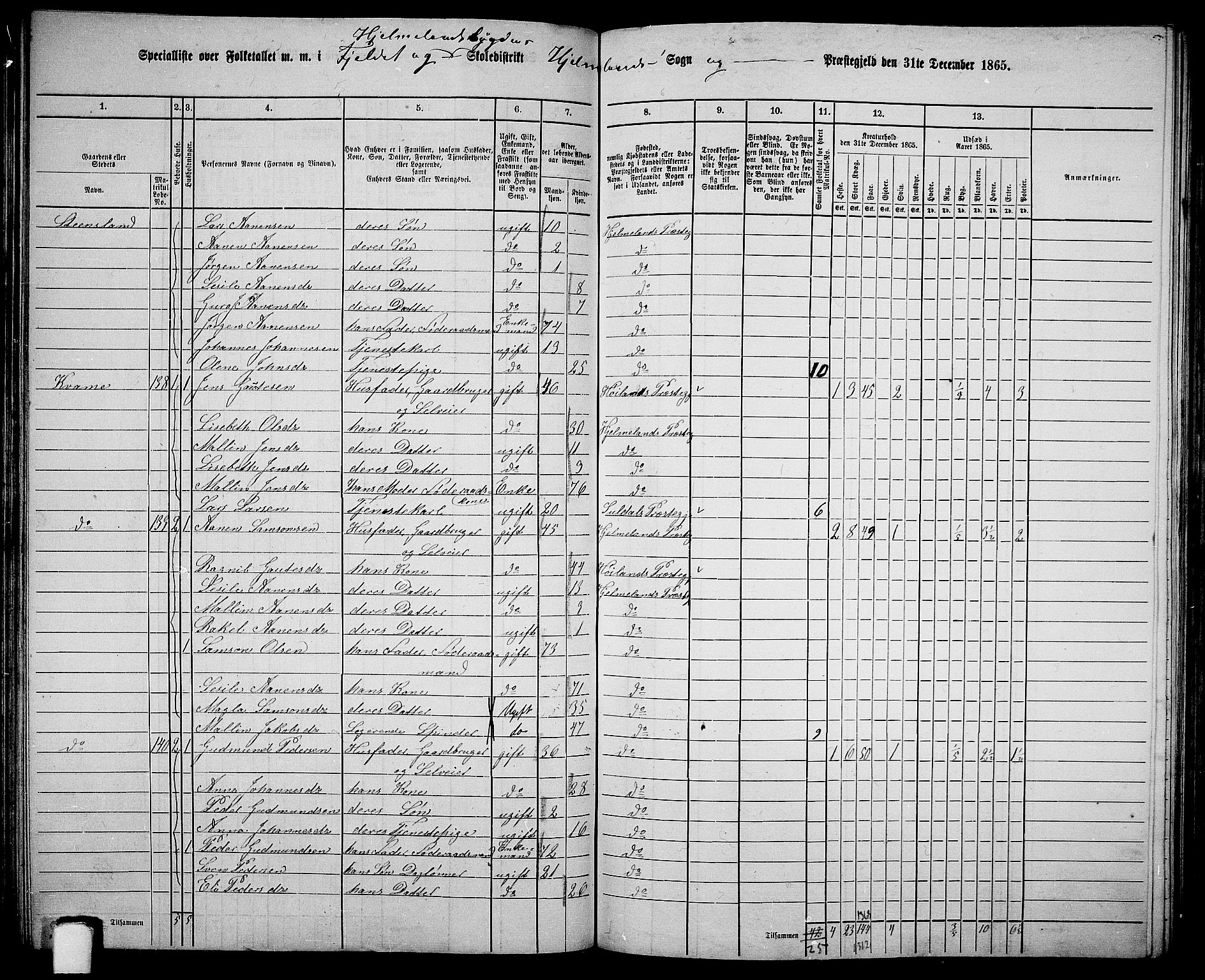 RA, 1865 census for Hjelmeland, 1865, p. 84