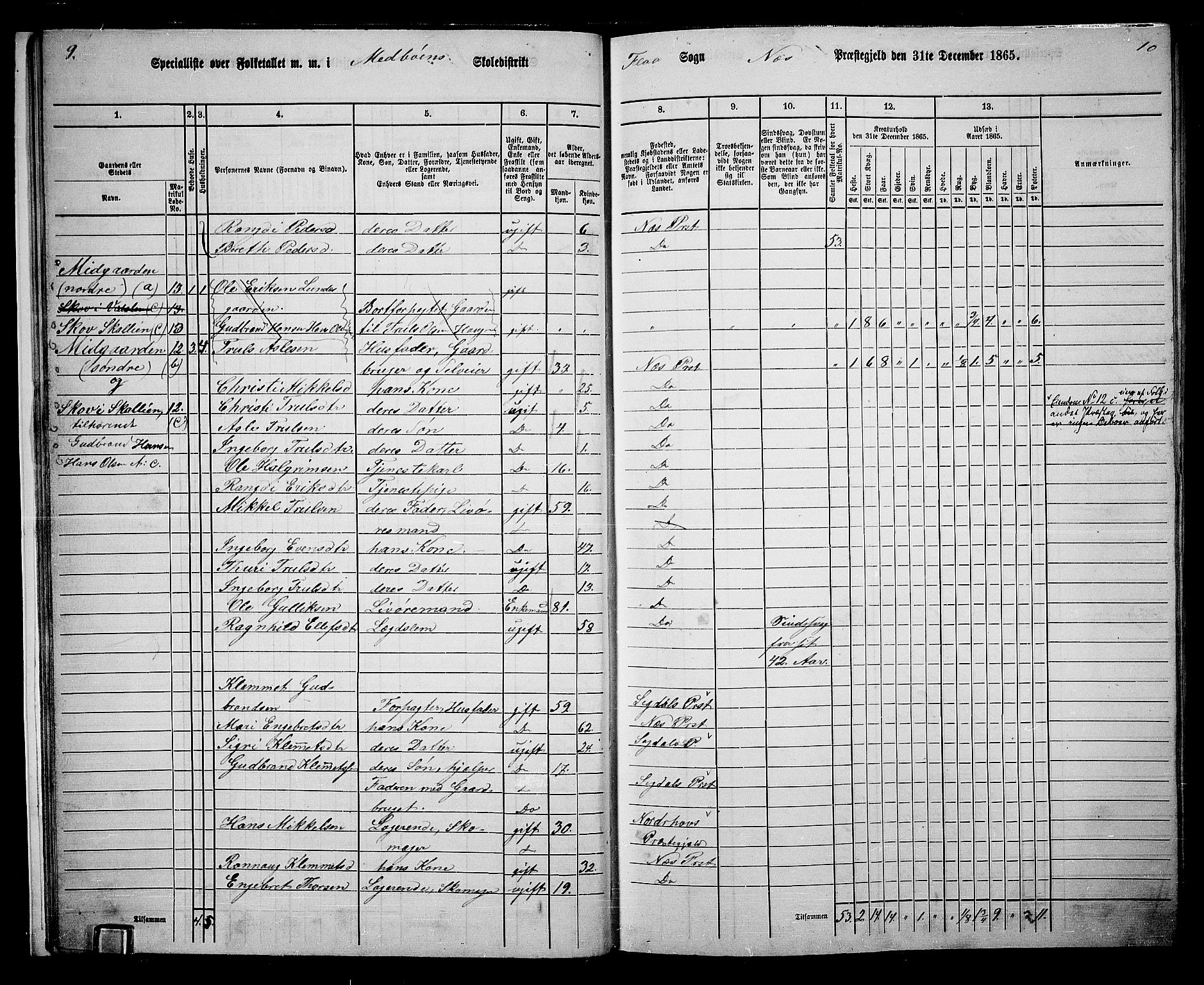 RA, 1865 census for Nes, 1865, p. 21