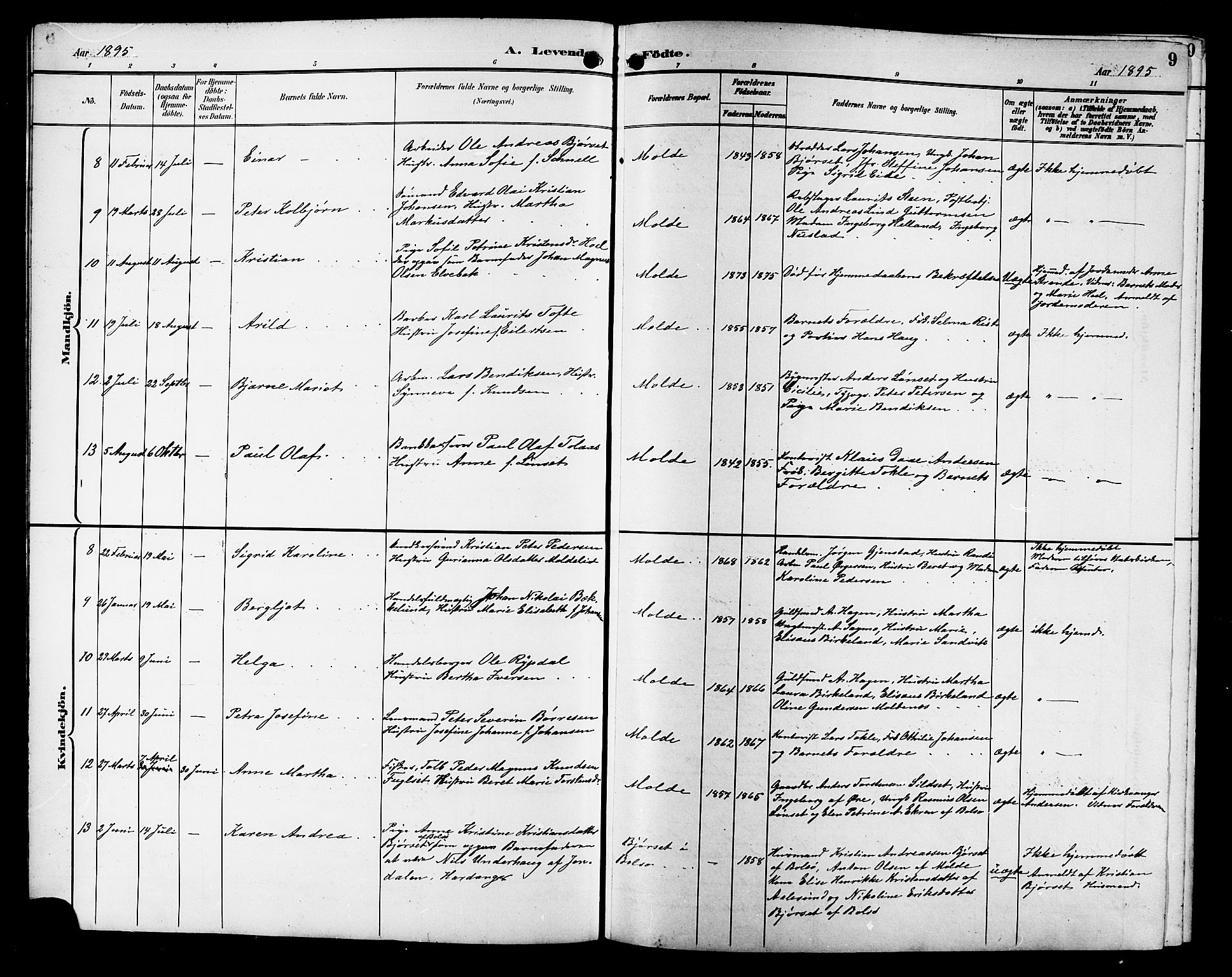 Ministerialprotokoller, klokkerbøker og fødselsregistre - Møre og Romsdal, AV/SAT-A-1454/558/L0702: Parish register (copy) no. 558C03, 1894-1915, p. 9