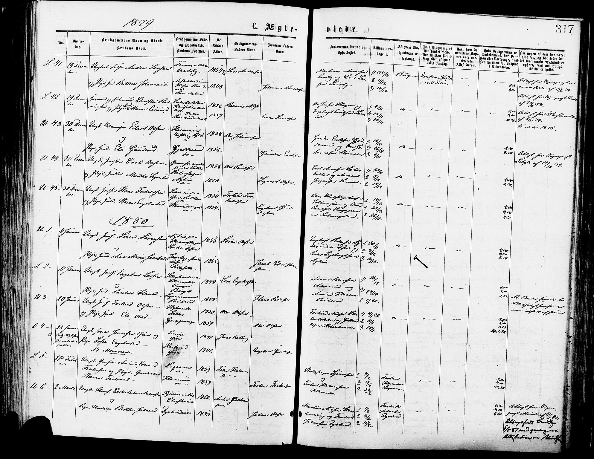 Sør-Odal prestekontor, SAH/PREST-030/H/Ha/Haa/L0005: Parish register (official) no. 5, 1876-1885, p. 317