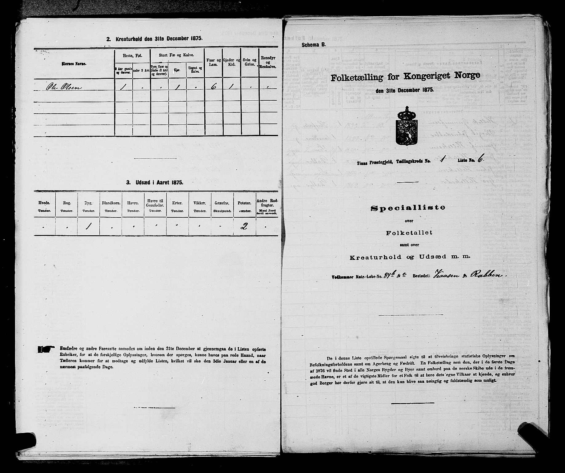 SAKO, 1875 census for 0826P Tinn, 1875, p. 52