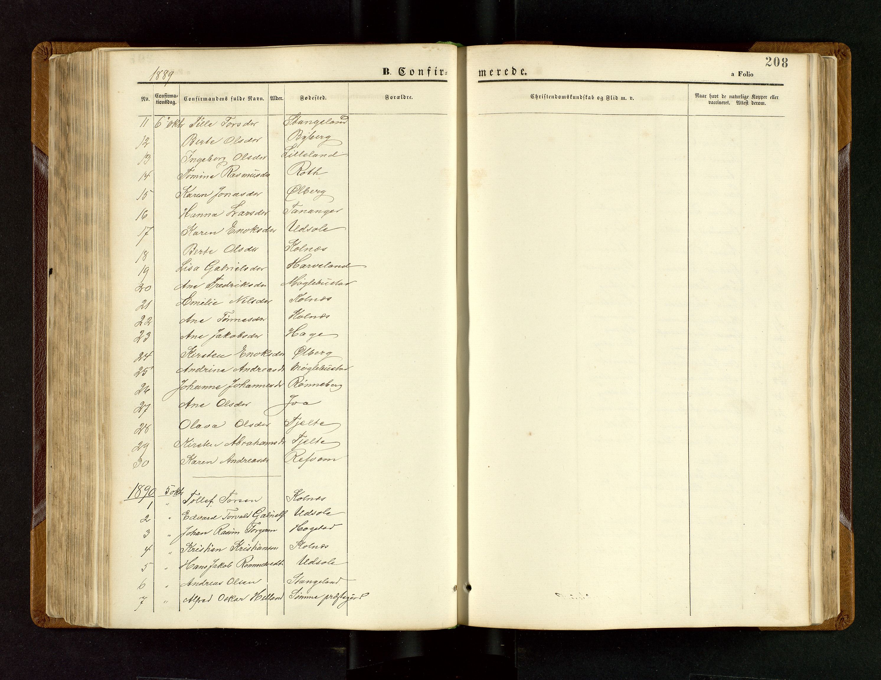 Håland sokneprestkontor, SAST/A-101802/001/30BB/L0003: Parish register (copy) no. B 3, 1873-1893, p. 208