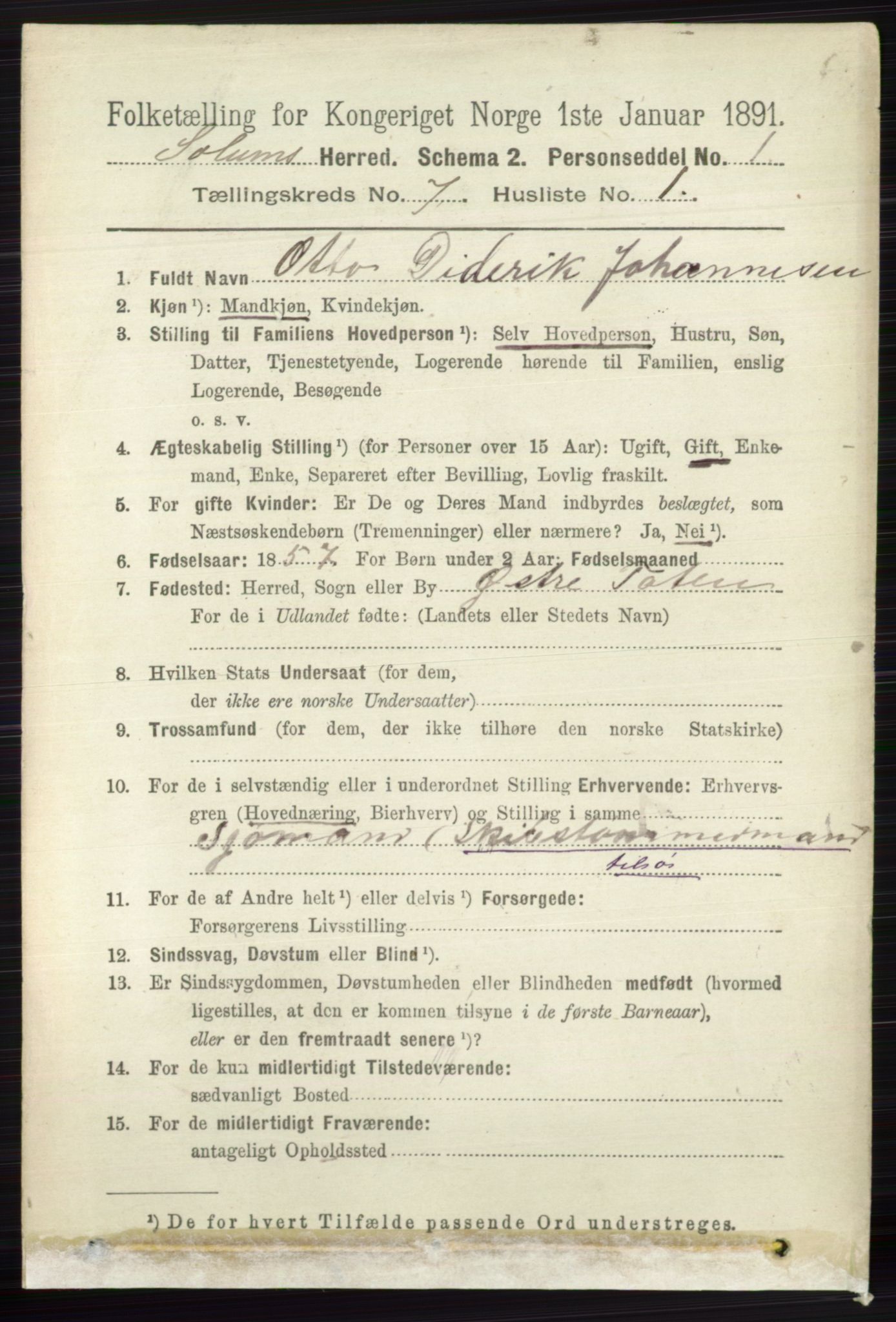 RA, 1891 census for 0818 Solum, 1891, p. 2713