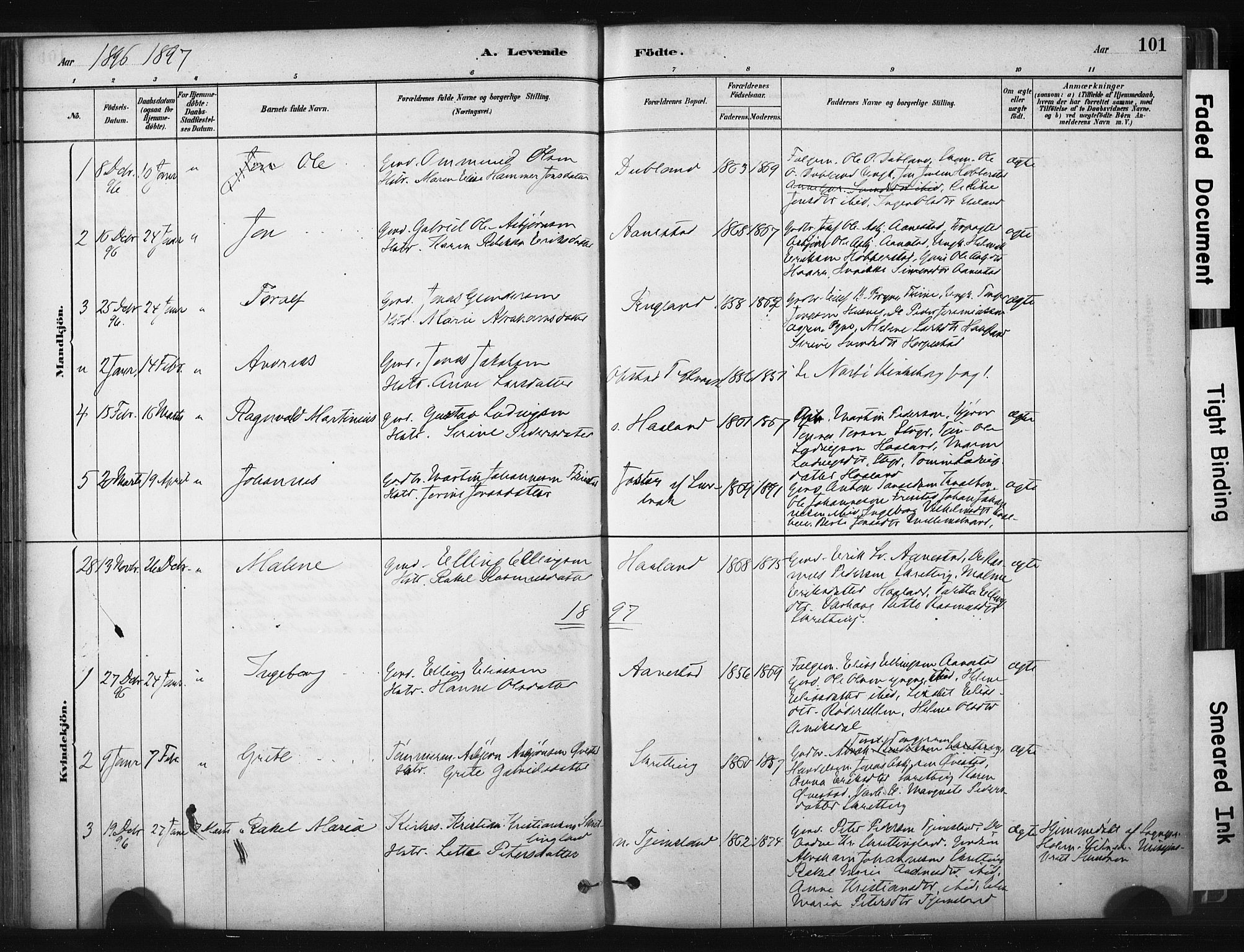 Hå sokneprestkontor, AV/SAST-A-101801/001/30BA/L0011: Parish register (official) no. A 10, 1879-1900, p. 101