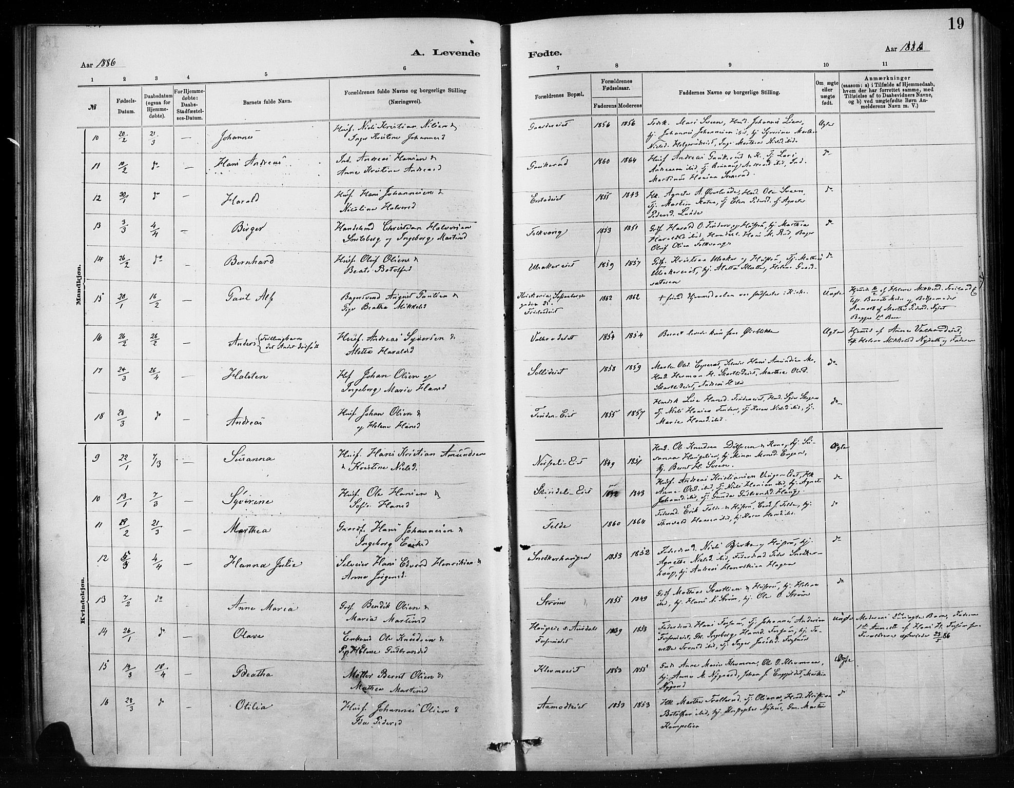Nordre Land prestekontor, SAH/PREST-124/H/Ha/Haa/L0004: Parish register (official) no. 4, 1882-1896, p. 19
