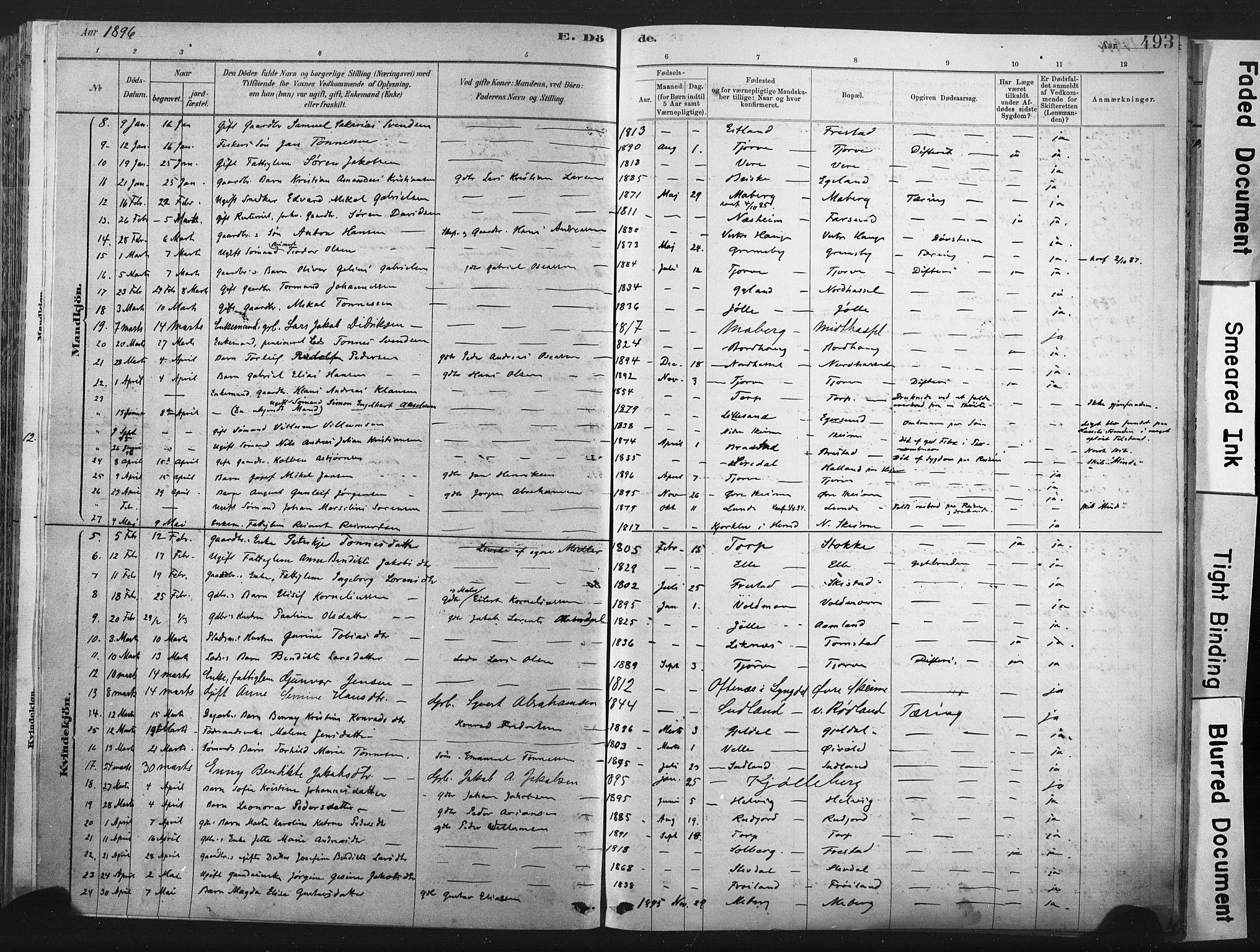 Lista sokneprestkontor, AV/SAK-1111-0027/F/Fa/L0012: Parish register (official) no. A 12, 1879-1903, p. 493