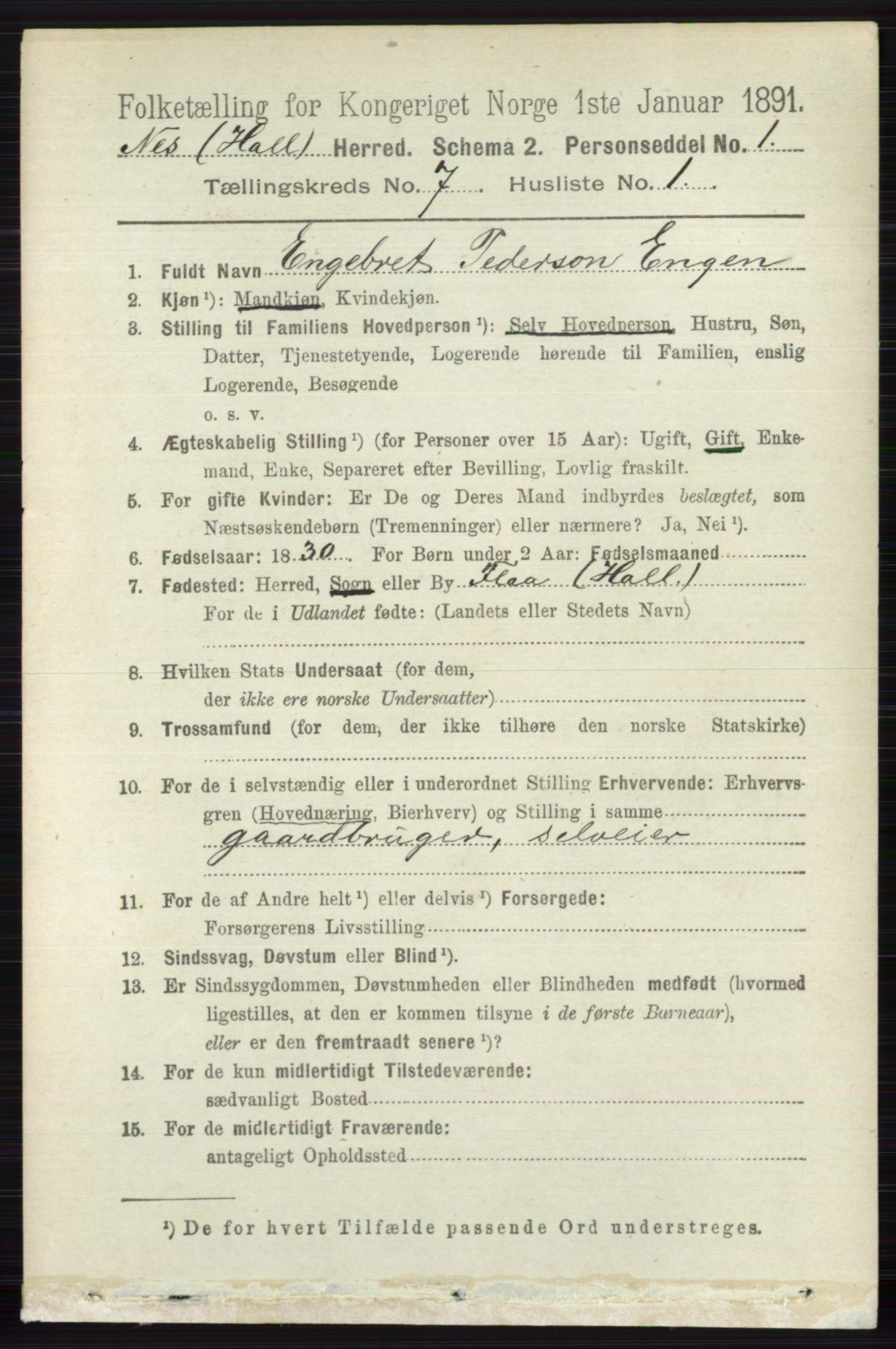 RA, 1891 census for 0616 Nes, 1891, p. 3601
