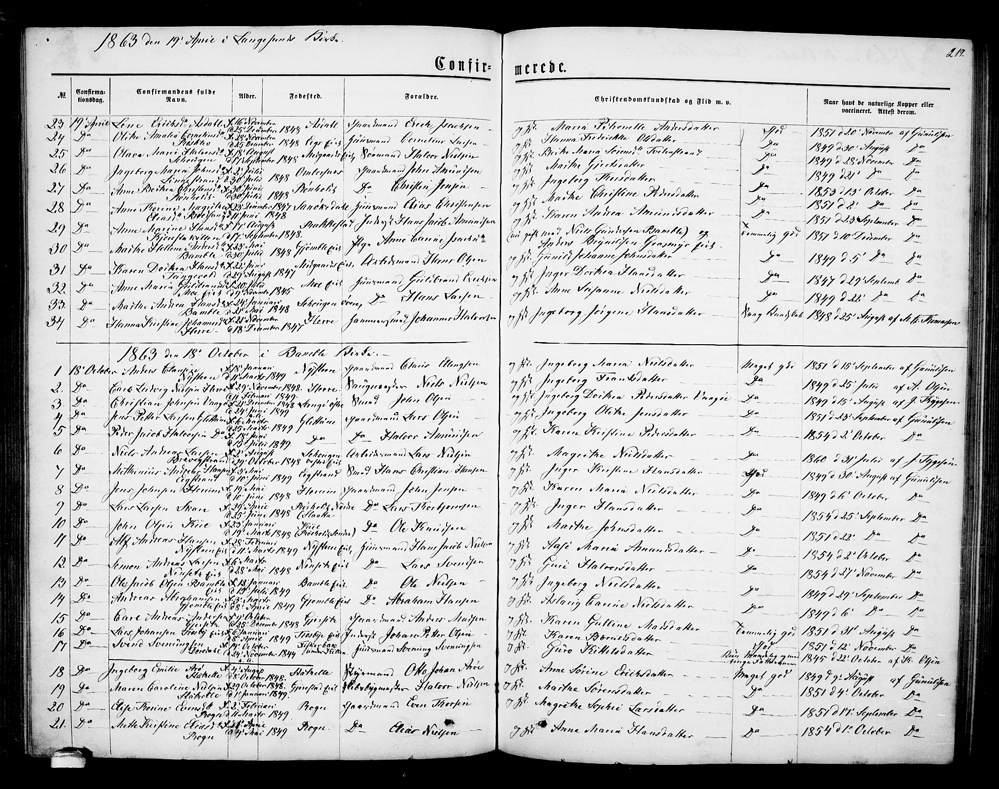 Bamble kirkebøker, SAKO/A-253/G/Ga/L0006: Parish register (copy) no. I 6, 1860-1876, p. 219
