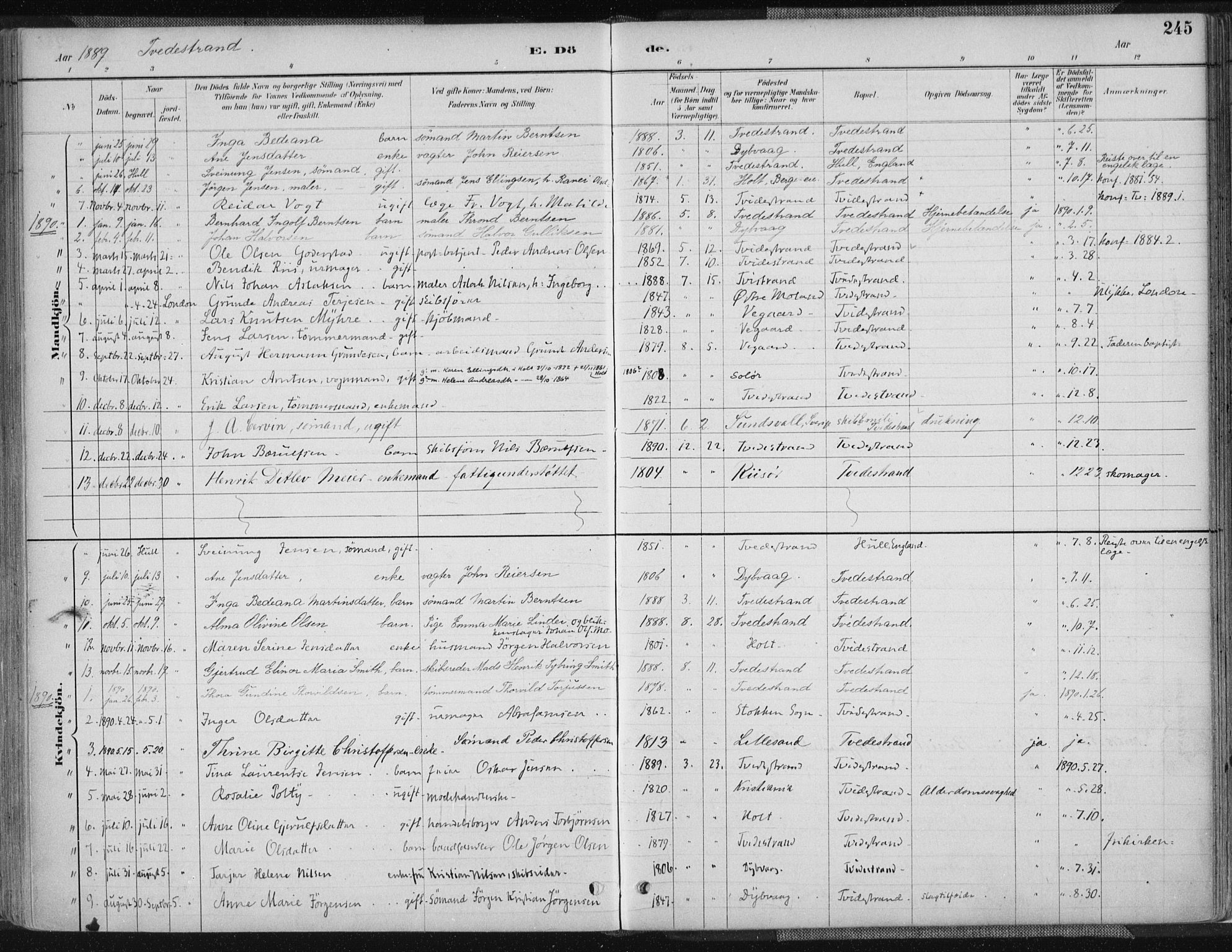 Tvedestrand sokneprestkontor, SAK/1111-0042/F/Fa/L0001: Parish register (official) no. A 1, 1885-1916, p. 245
