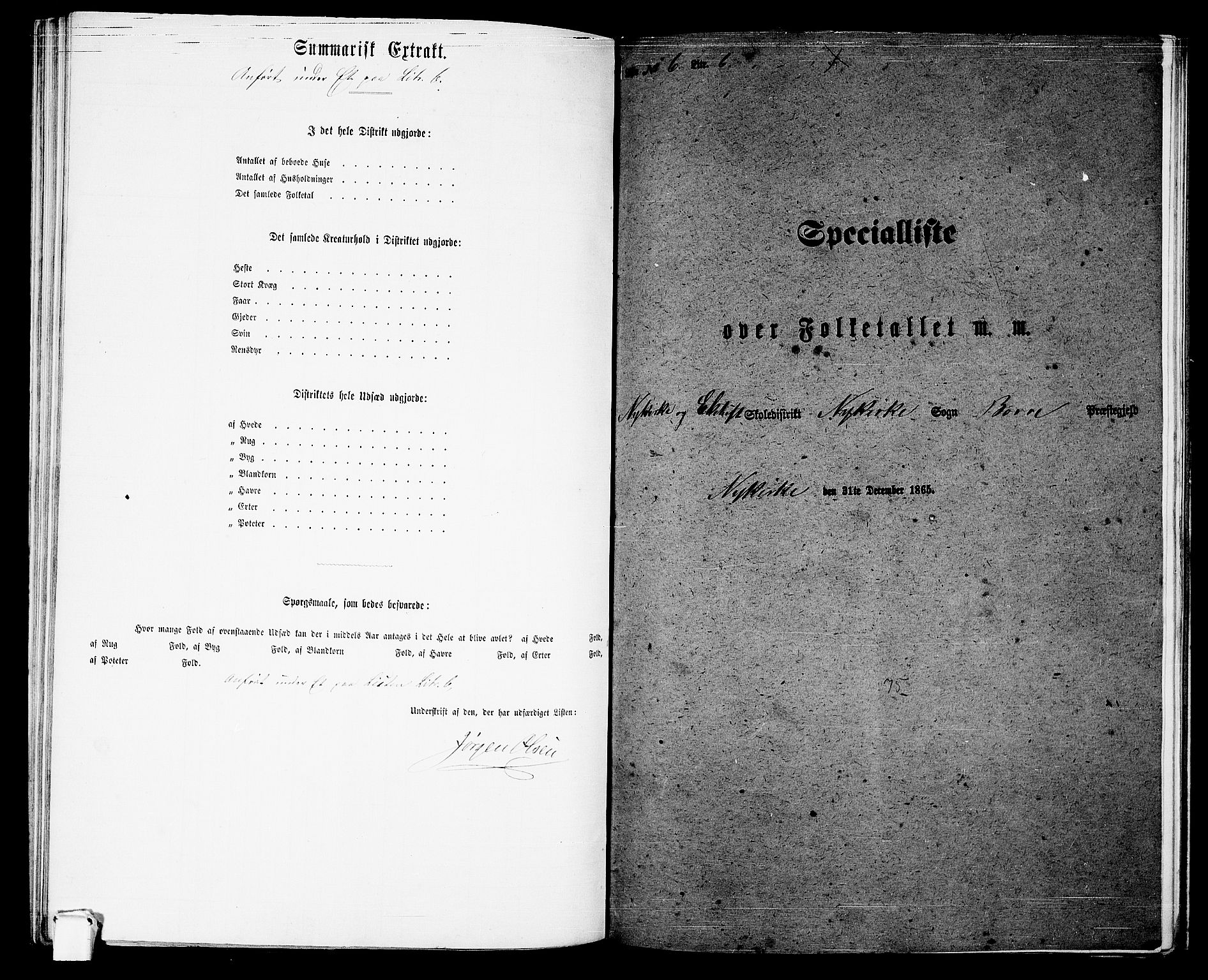 RA, 1865 census for Borre, 1865, p. 145