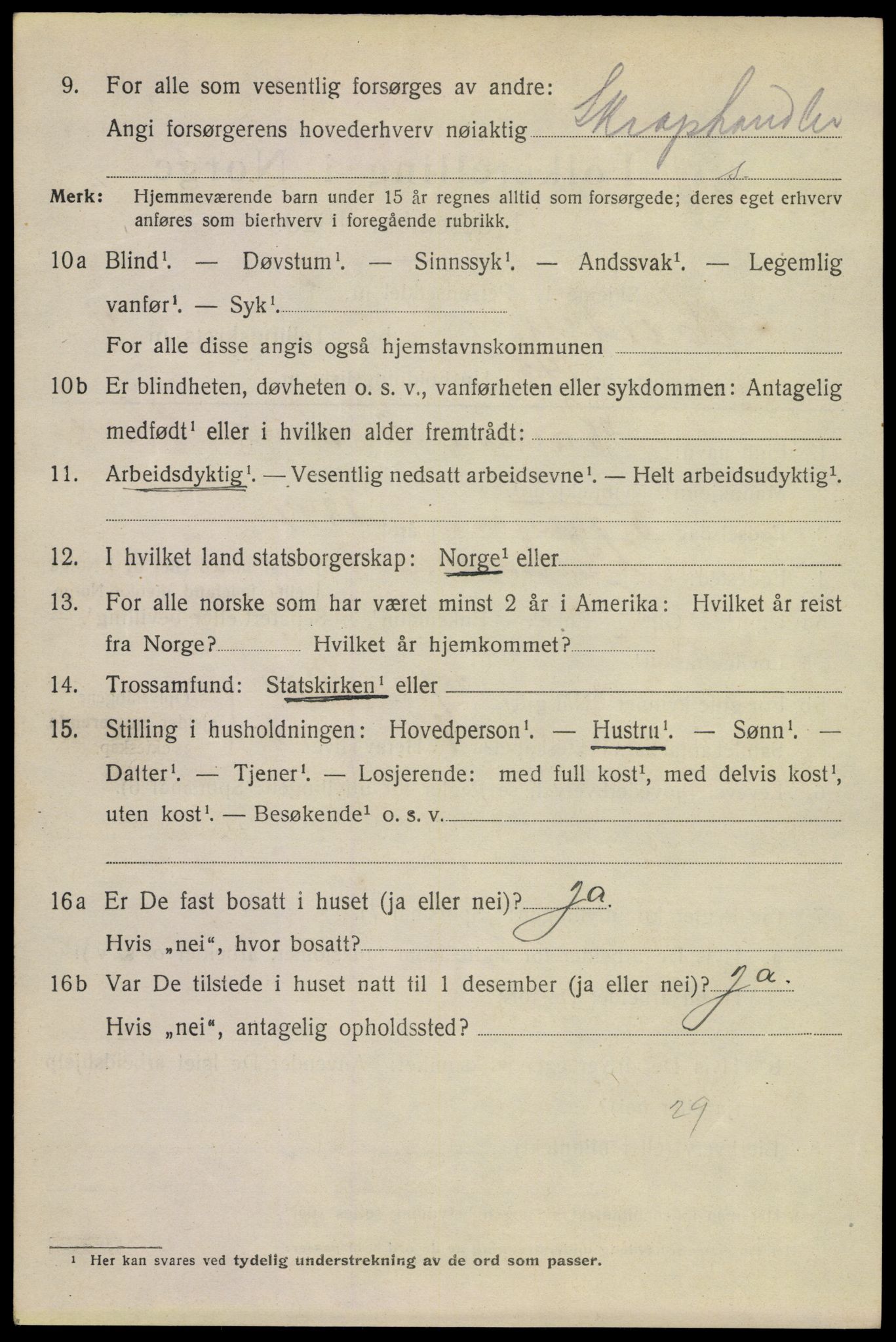 SAKO, 1920 census for Horten, 1920, p. 19004