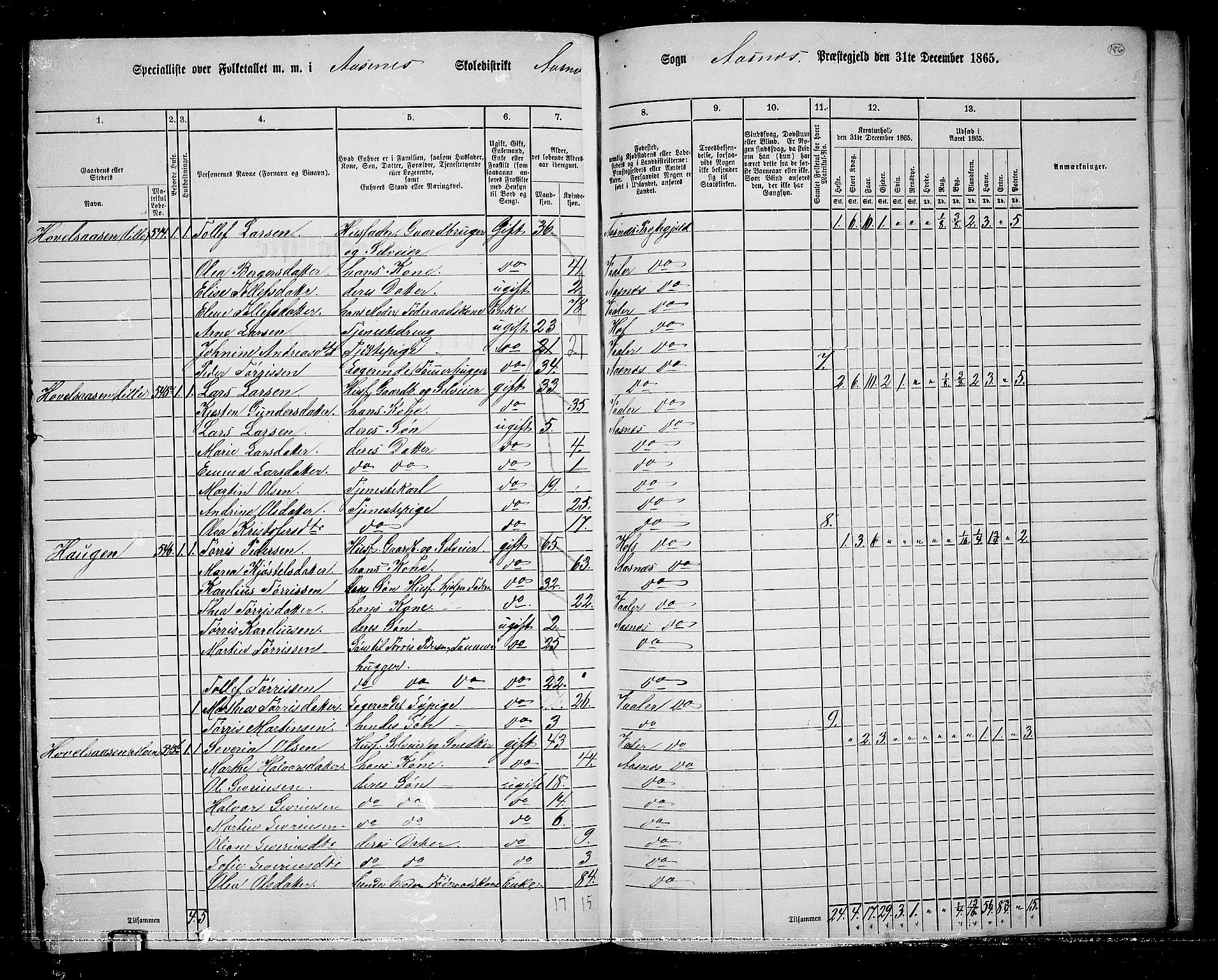 RA, 1865 census for Åsnes, 1865, p. 169