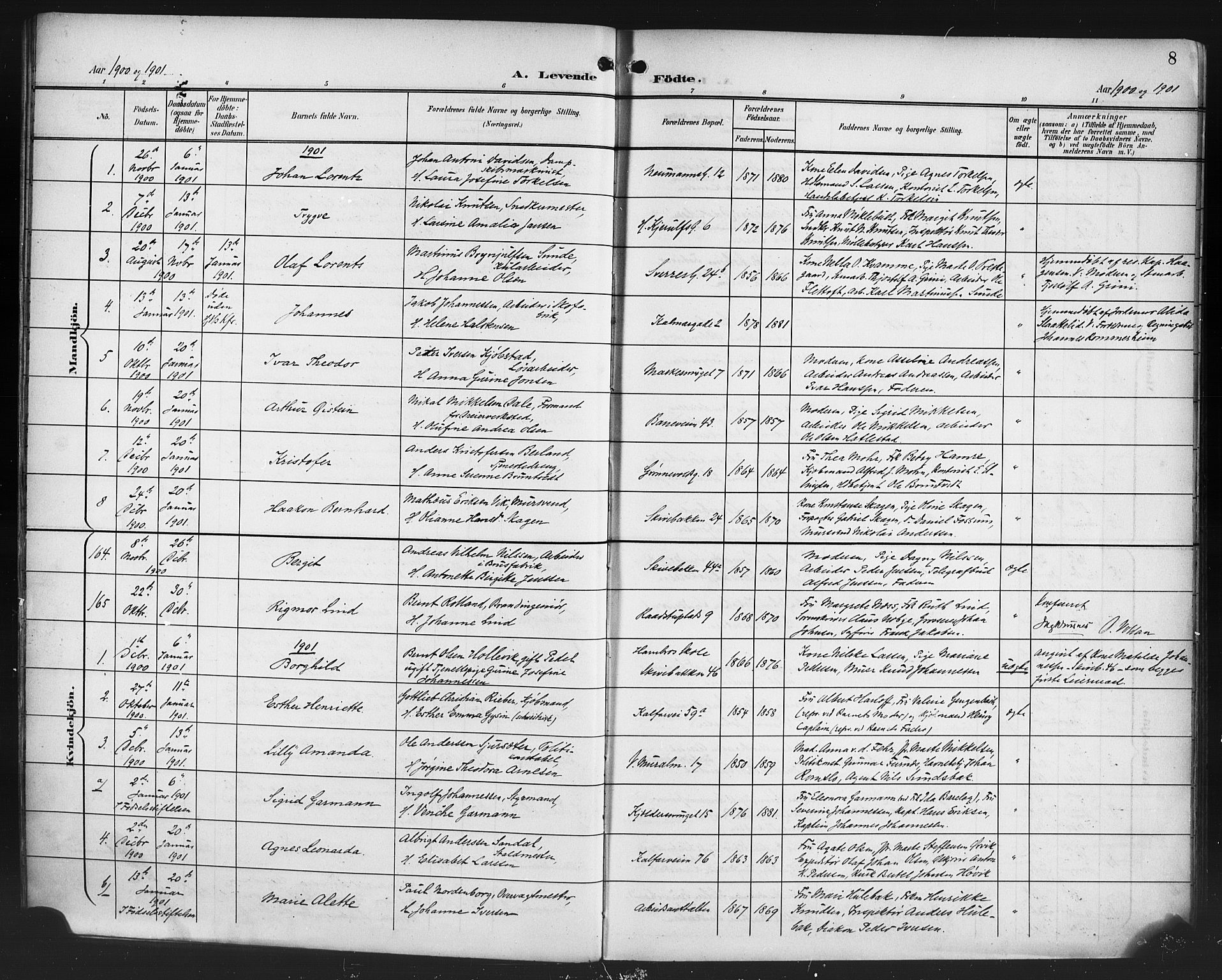 Domkirken sokneprestembete, SAB/A-74801/H/Hab/L0017: Parish register (copy) no. B 10, 1900-1915, p. 8