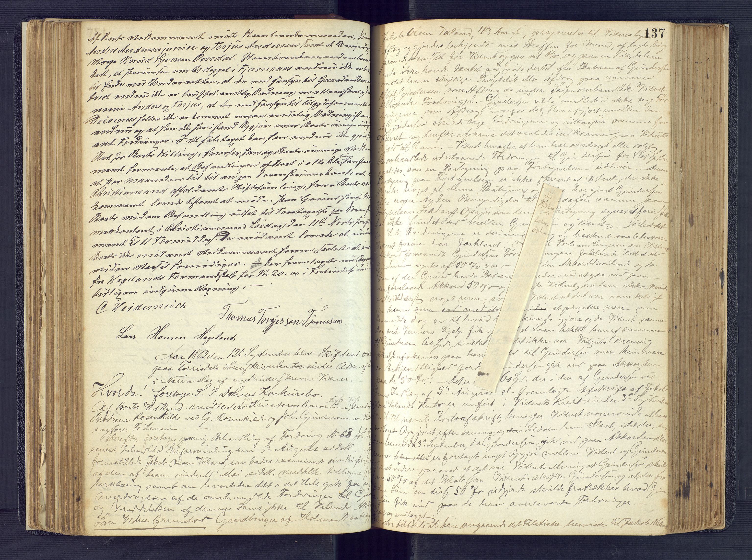 Torridal sorenskriveri, AV/SAK-1221-0012/H/Hc/L0017: Skifteforhandlingsprotokoll med navneregister nr. 3, 1878-1890, p. 137