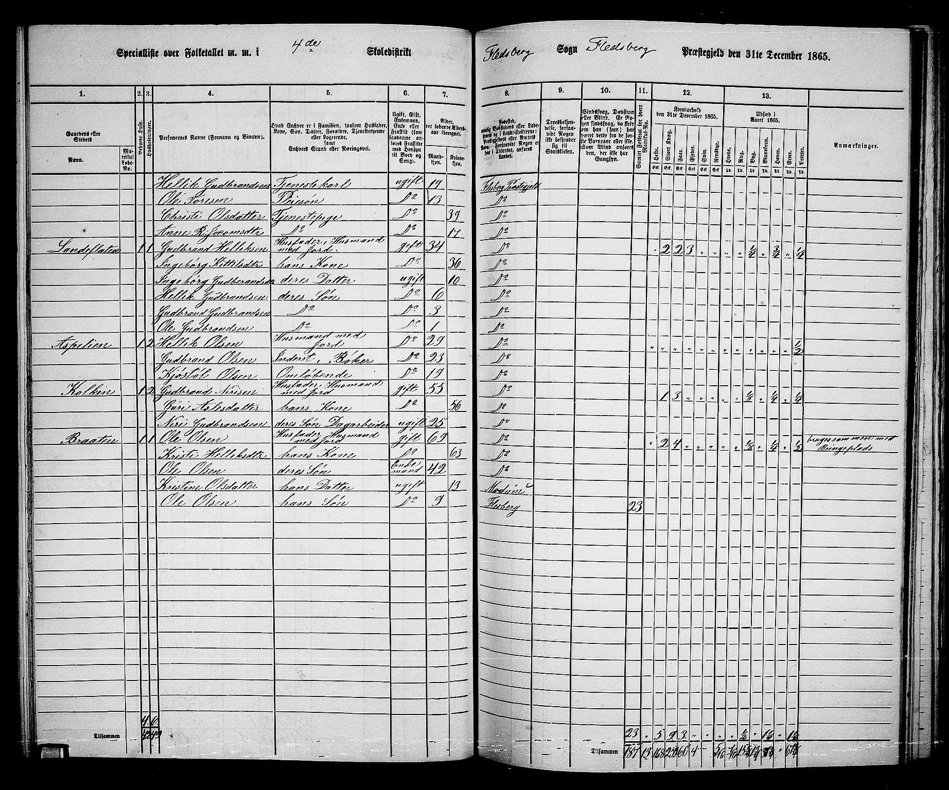 RA, 1865 census for Flesberg, 1865, p. 84