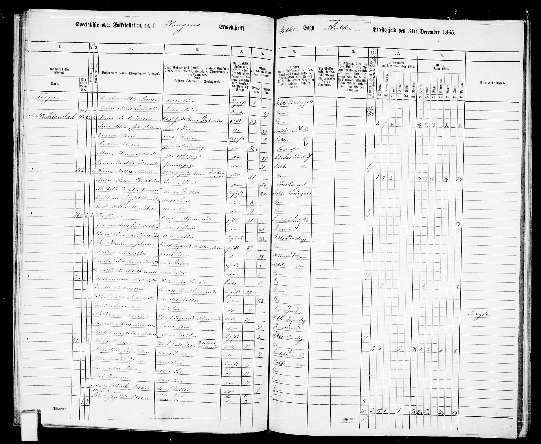 RA, 1865 census for Stokke, 1865, p. 91