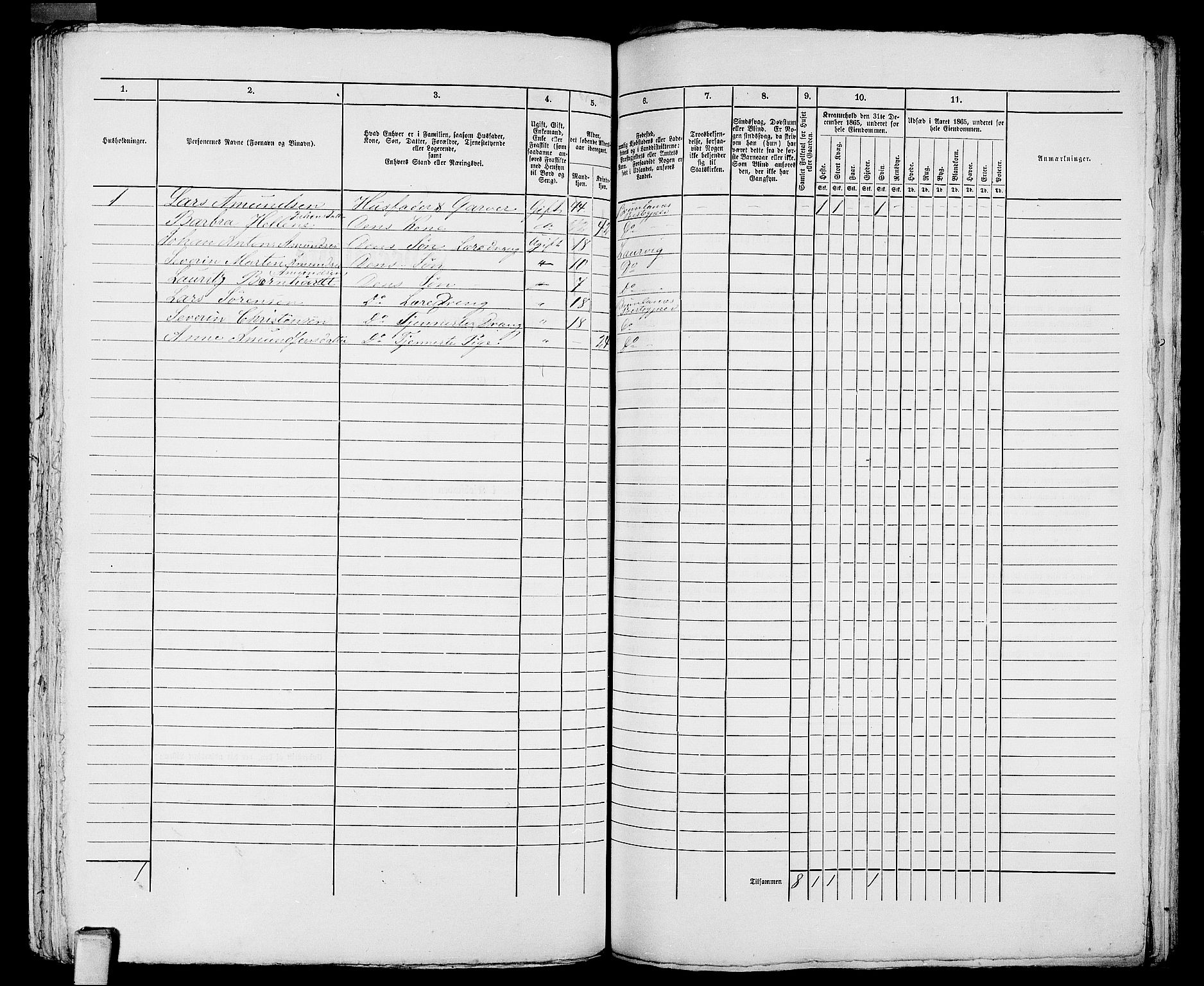 RA, 1865 census for Larvik, 1865, p. 1058