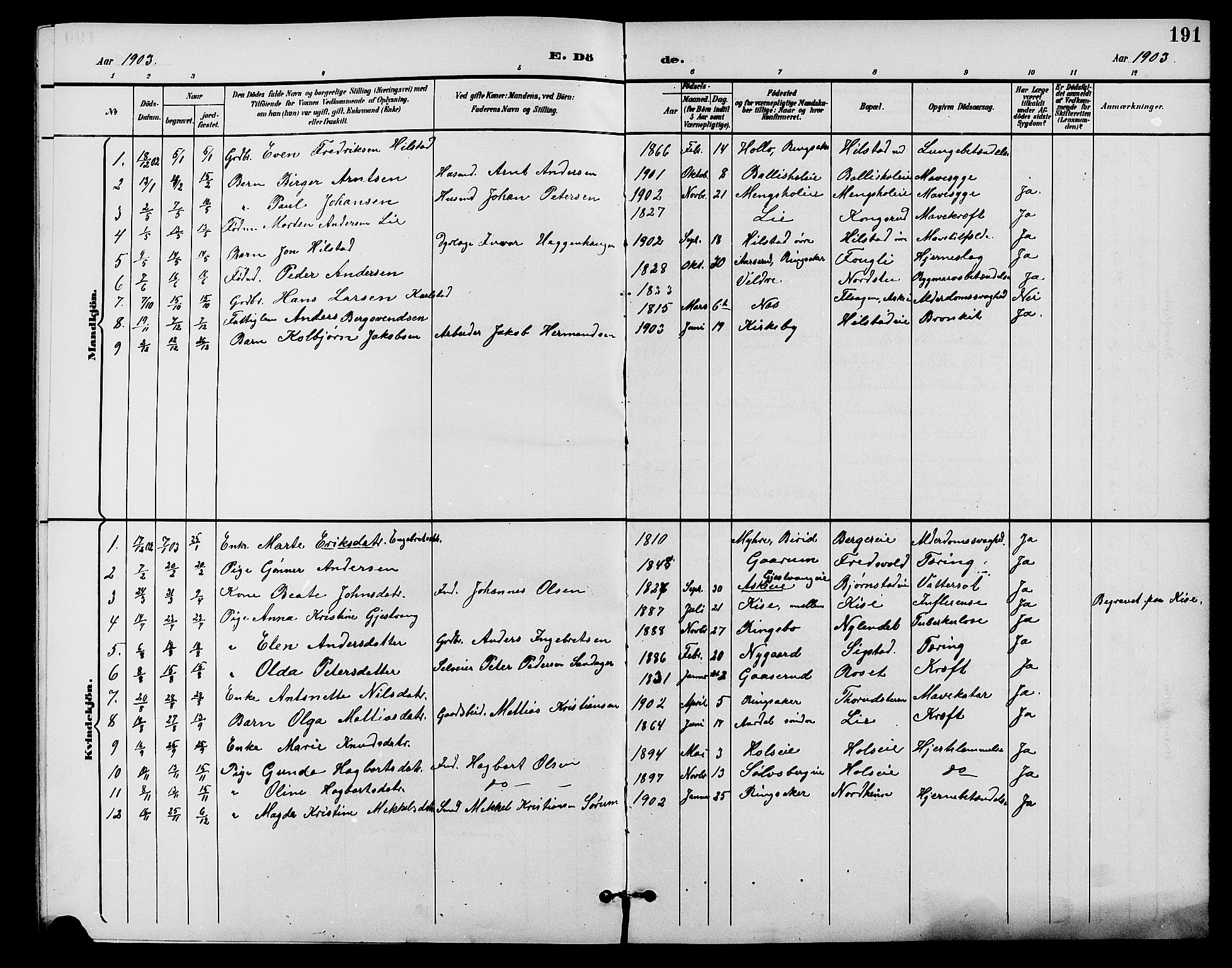 Nes prestekontor, Hedmark, AV/SAH-PREST-020/L/La/L0007: Parish register (copy) no. 7, 1892-1912, p. 191