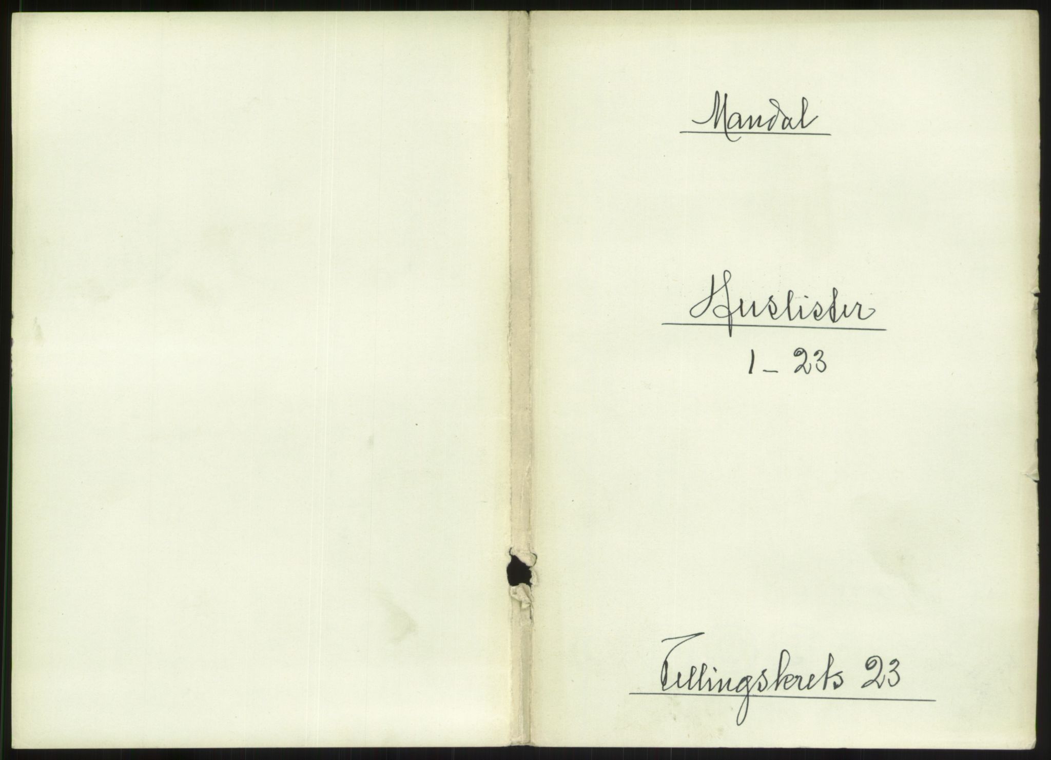 RA, 1891 census for 1002 Mandal, 1891, p. 1015