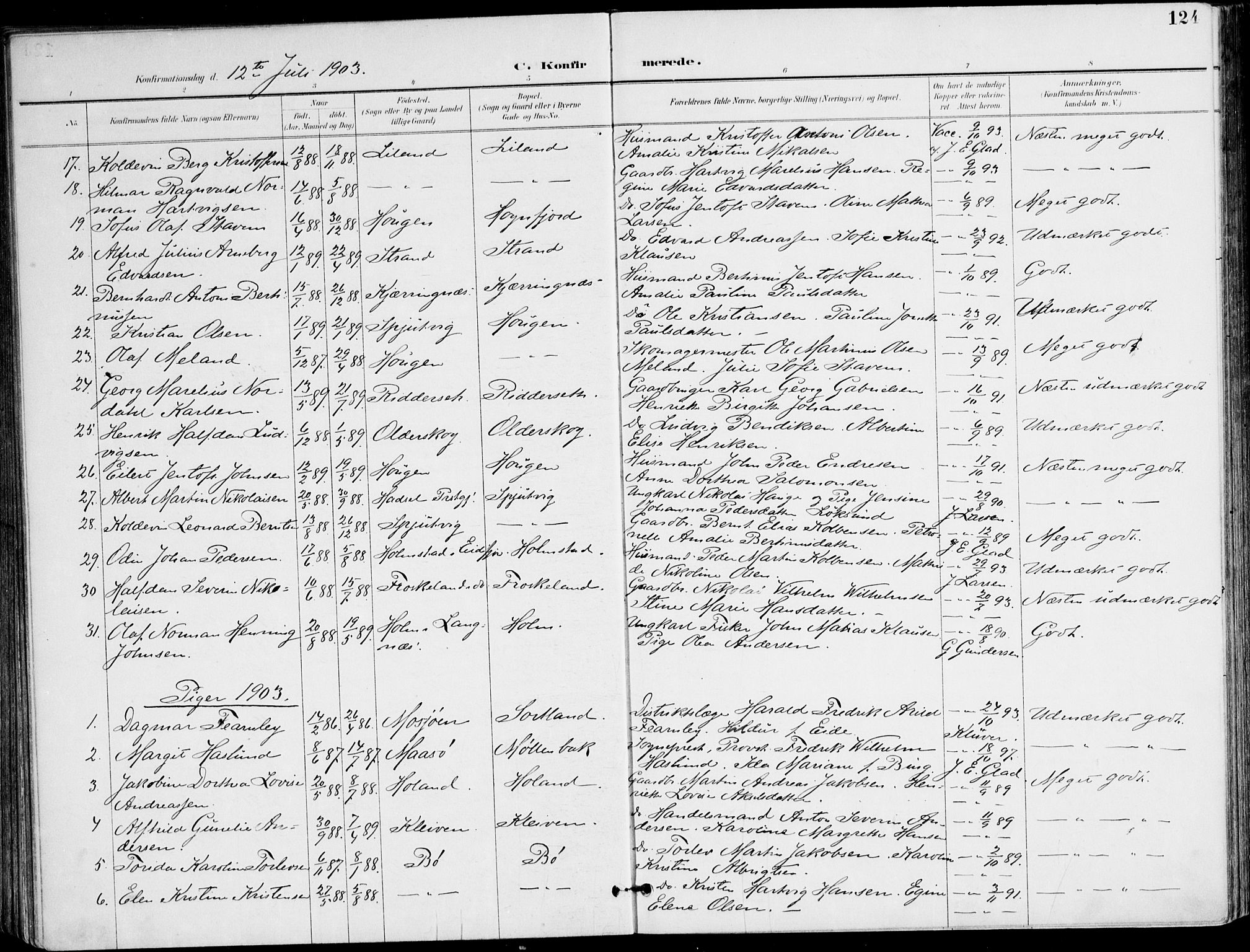 Ministerialprotokoller, klokkerbøker og fødselsregistre - Nordland, AV/SAT-A-1459/895/L1372: Parish register (official) no. 895A07, 1894-1914, p. 124