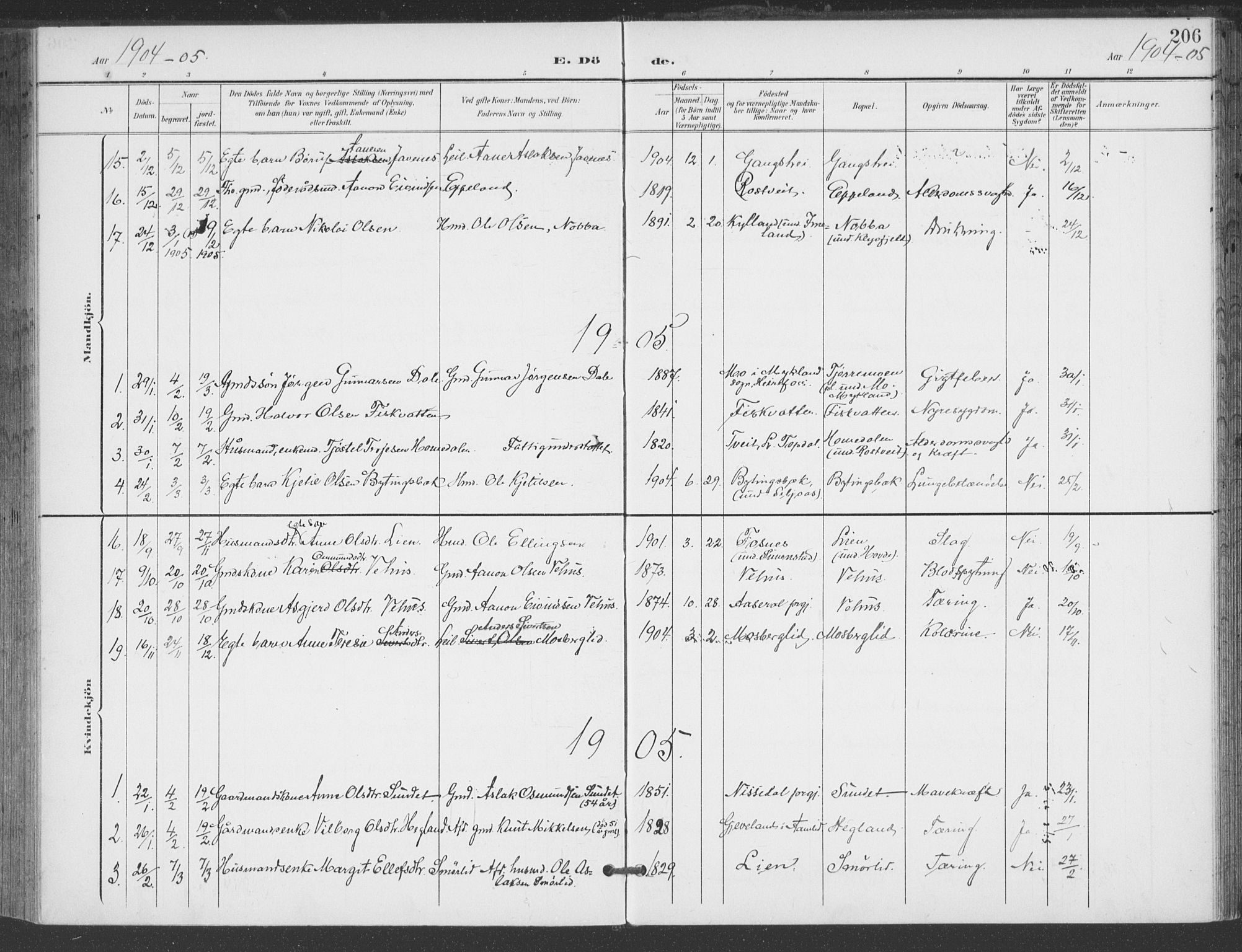 Åmli sokneprestkontor, AV/SAK-1111-0050/F/Fa/Fac/L0012: Parish register (official) no. A 12, 1900-1914, p. 206