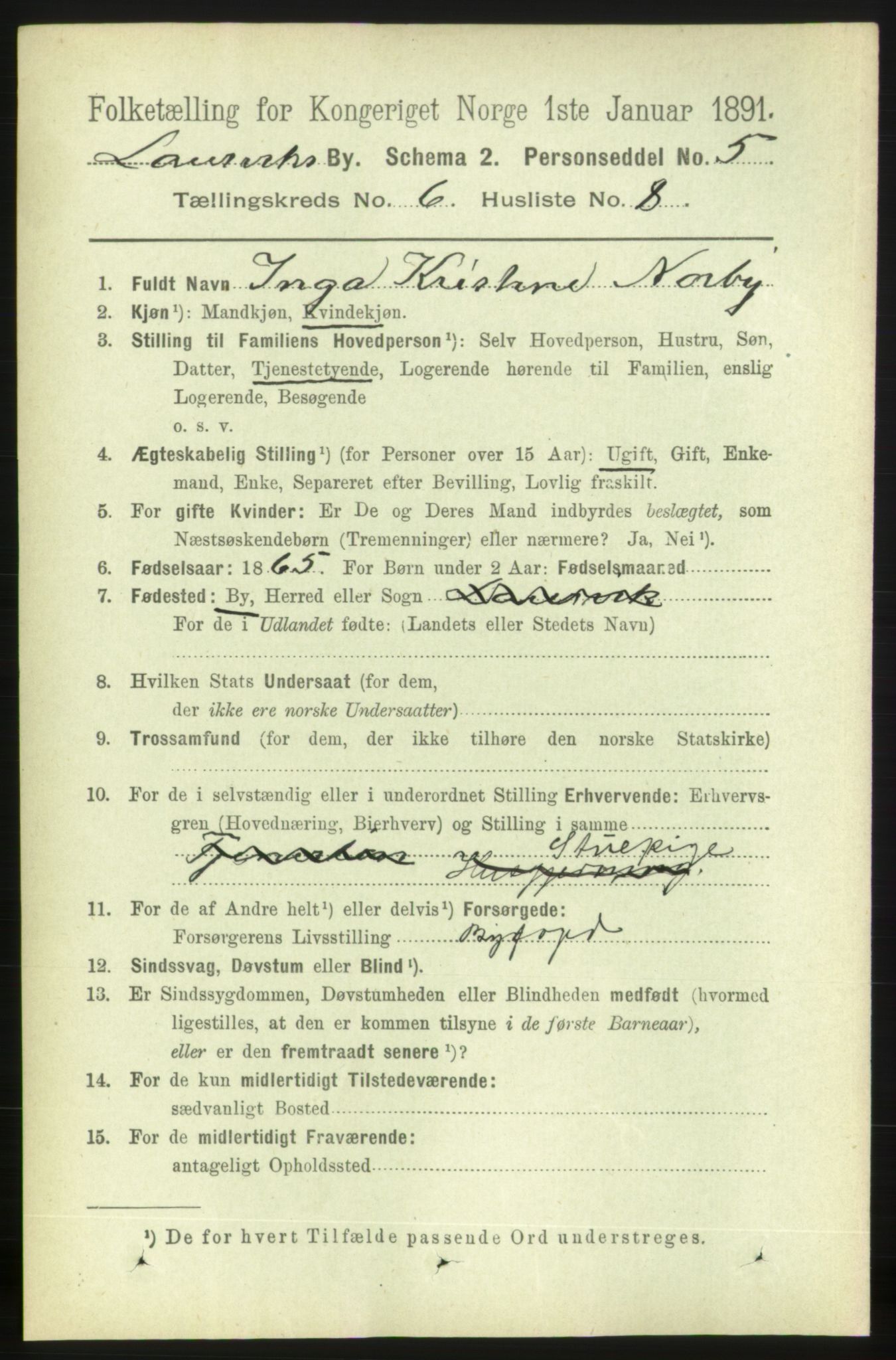 RA, 1891 census for 0707 Larvik, 1891, p. 6650