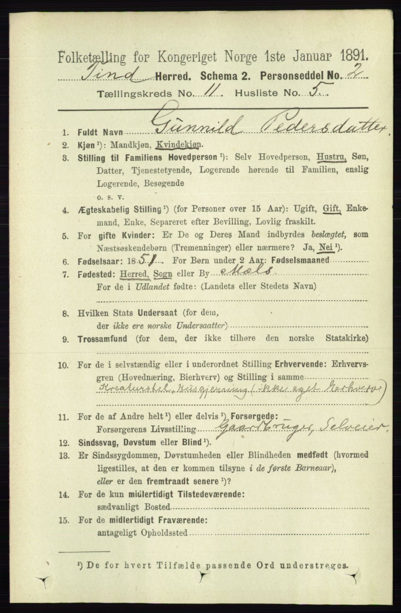 RA, 1891 census for 0826 Tinn, 1891, p. 2153